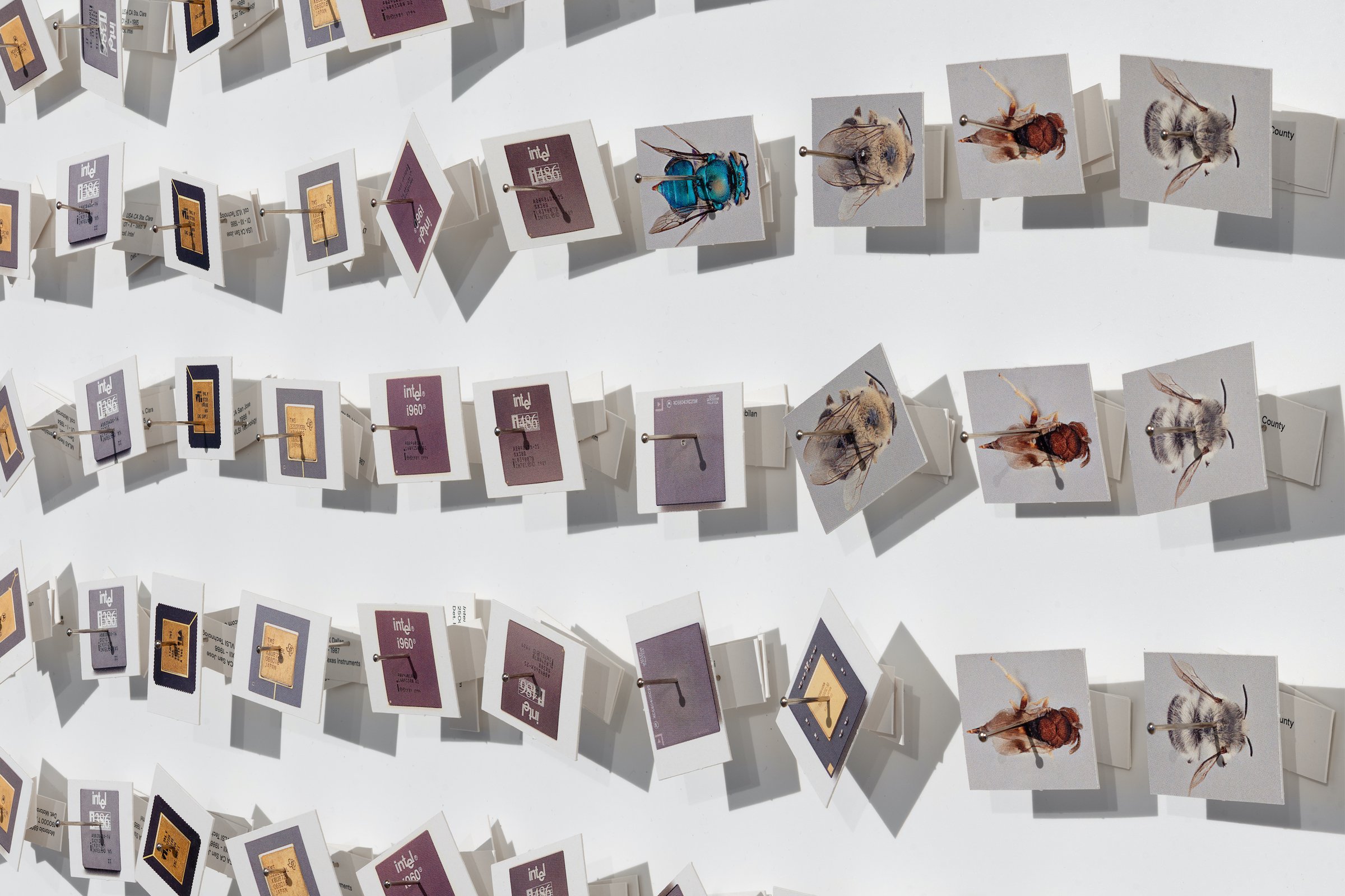 Installationsfoto, Bugs &amp; Metamorphosis, Kunsthal Aarhus, 2025. Foto: Jacob Friis-Holm Nielsen.