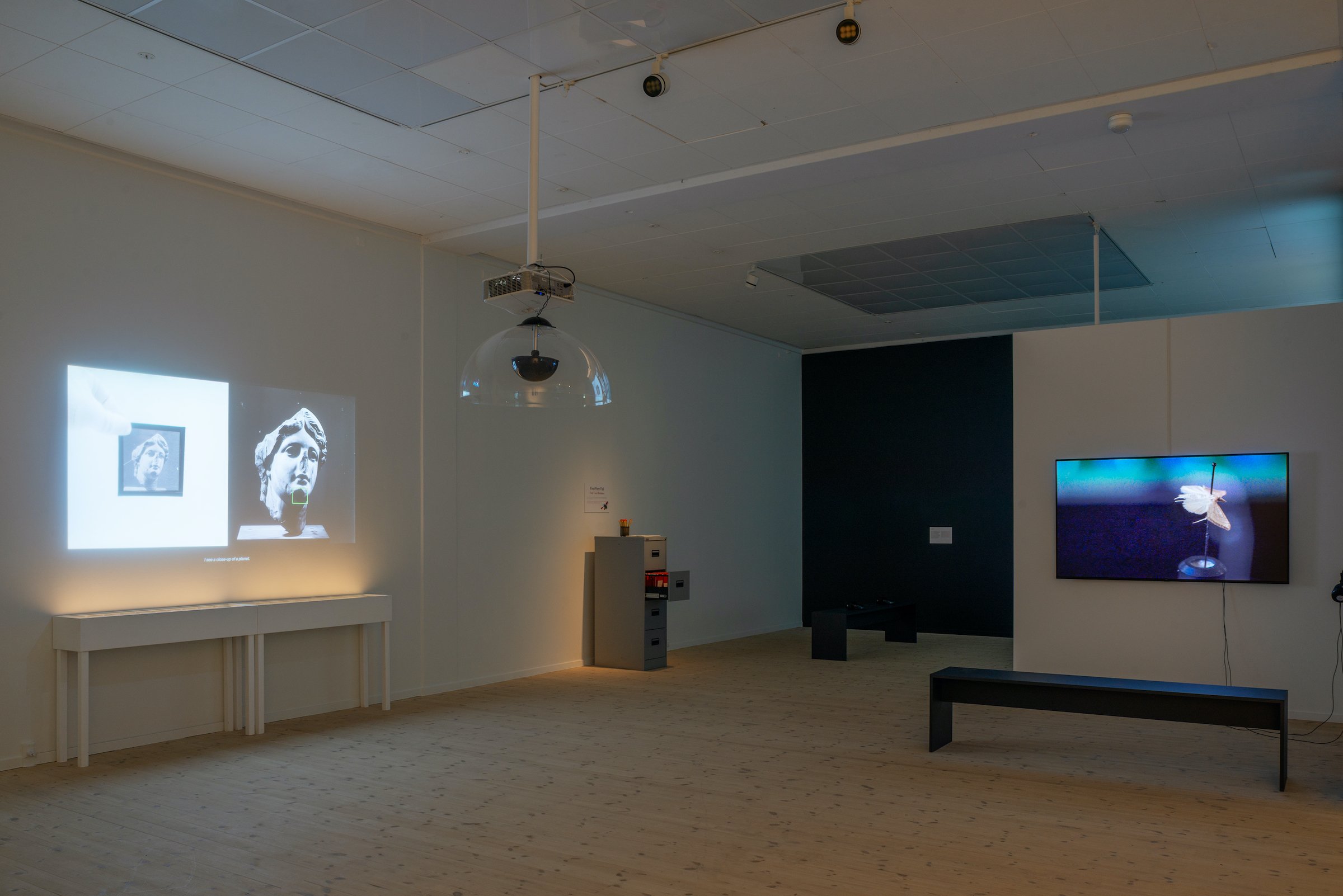 Installationsfoto, <i>Bugs & Metamorphosis</i>, Kunsthal Aarhus, 2025. Foto: Jacob Friis-Holm Nielsen.