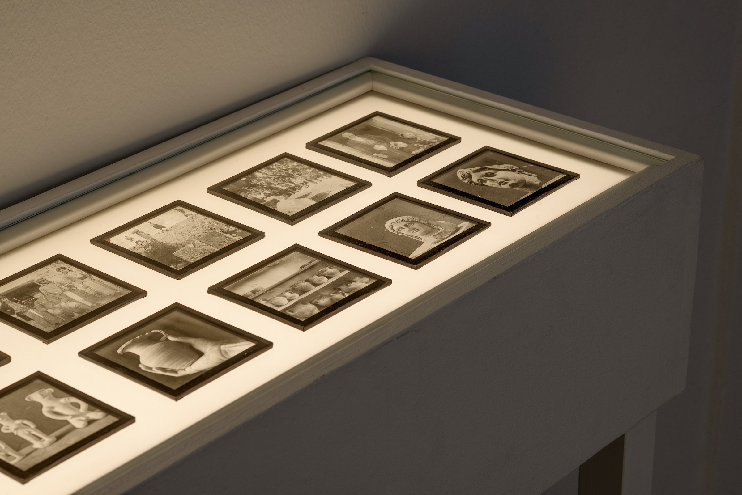 Installationsfoto, Bugs &amp; Metamorphosis, Kunsthal Aarhus, 2025. Foto: Jacob Friis-Holm Nielsen.