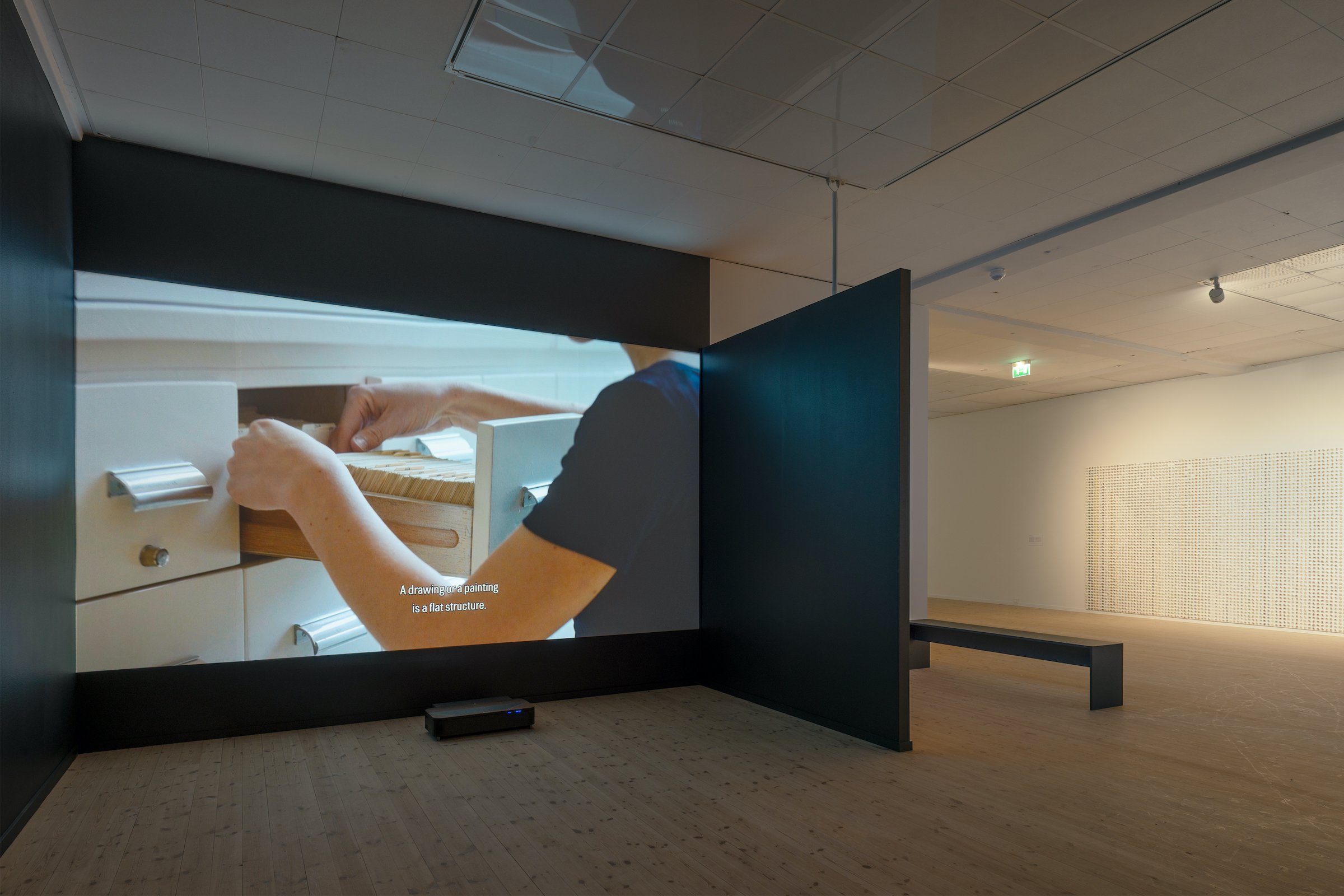 Installationsfoto, Bugs &amp; Metamorphosis, Kunsthal Aarhus, 2025. Foto: Jacob Friis-Holm Nielsen.