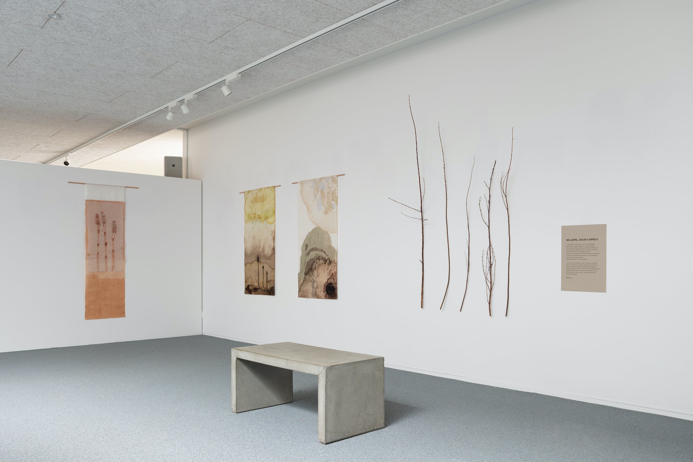 Installationsfoto, Cecilia Westerberg, Videbæk - et sted med rødder i vand, 2025. Foto: Jacob Friis-Holm Nielsen