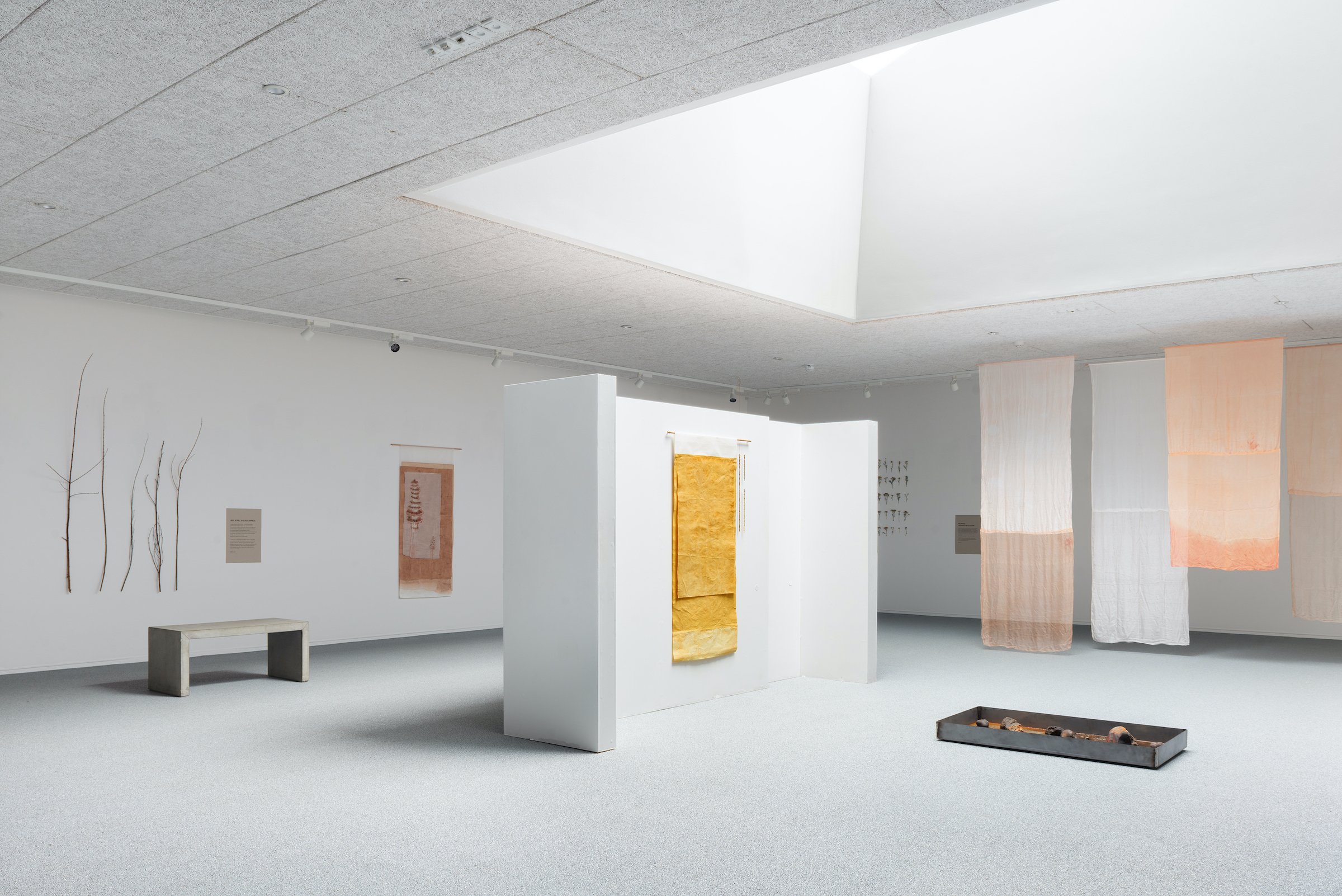 Installationsfoto, Cecilia Westerberg, <i>Videbæk - et sted med rødder i vand</i>, 2025. Foto: Jacob Friis-Holm Nielsen