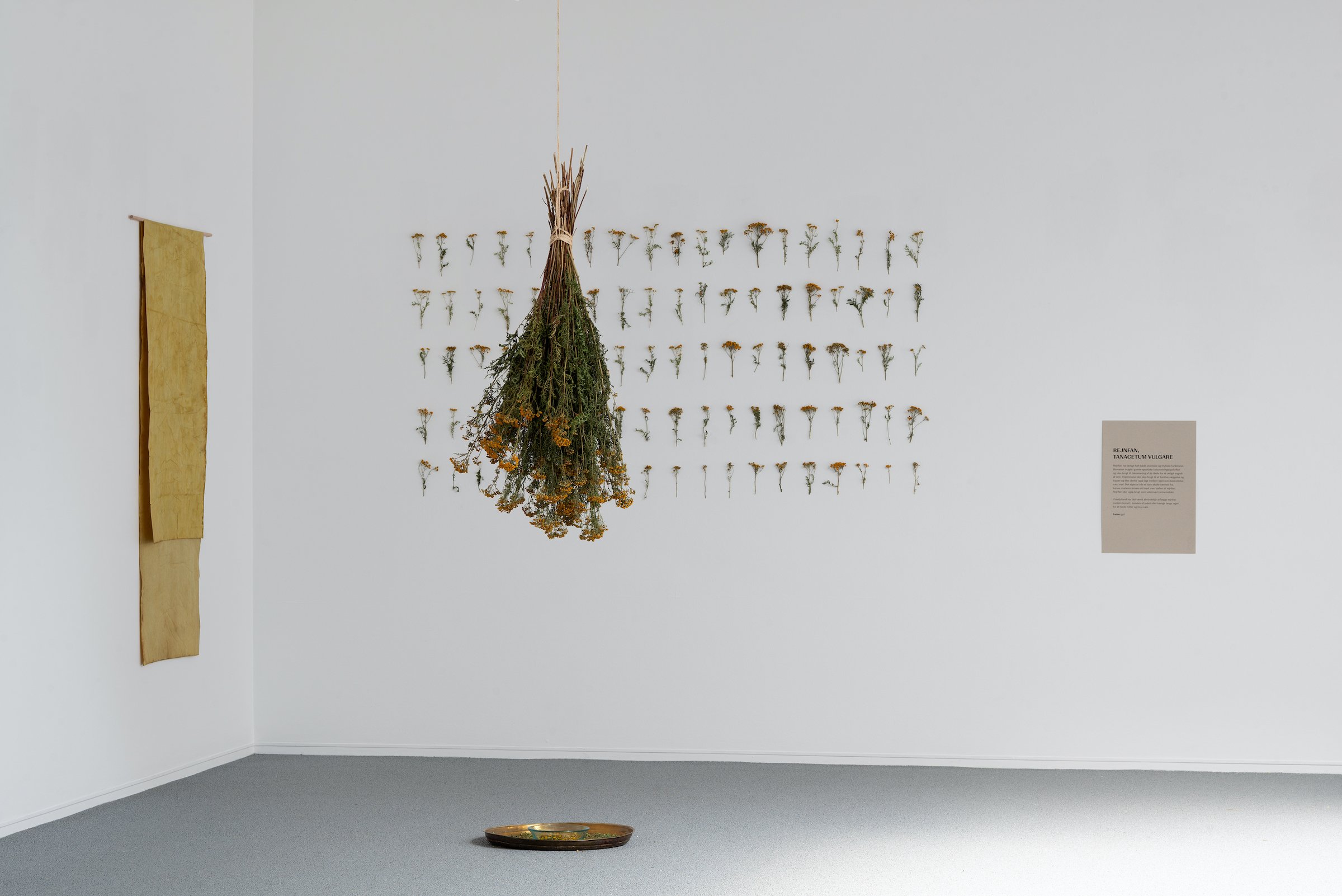 Installationsfoto, Cecilia Westerberg, Videbæk - et sted med rødder i vand, 2025. Foto: Jacob Friis-Holm Nielsen