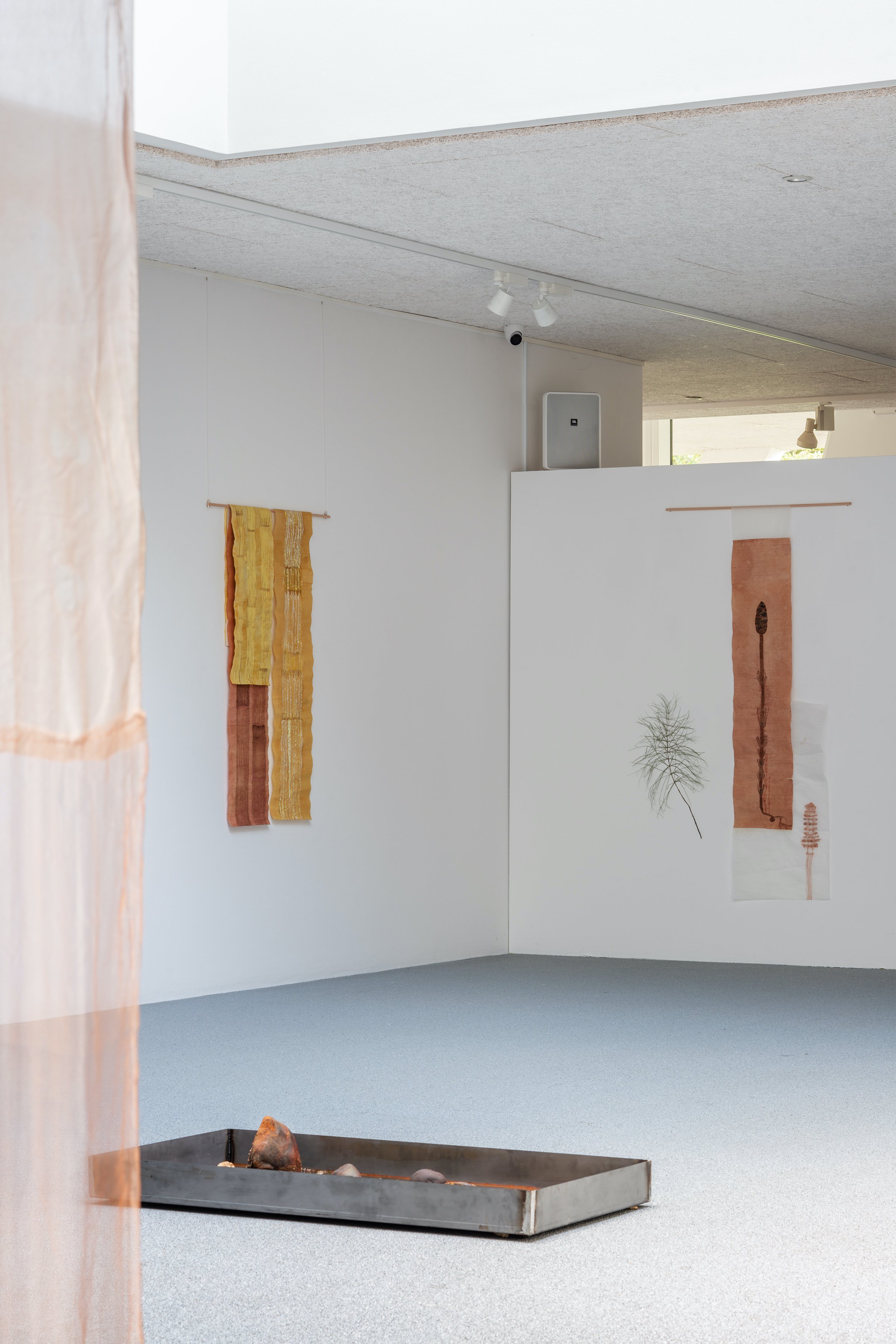 Installationsfoto, Cecilia Westerberg, Videbæk - et sted med rødder i vand, 2025. Foto: Jacob Friis-Holm Nielsen