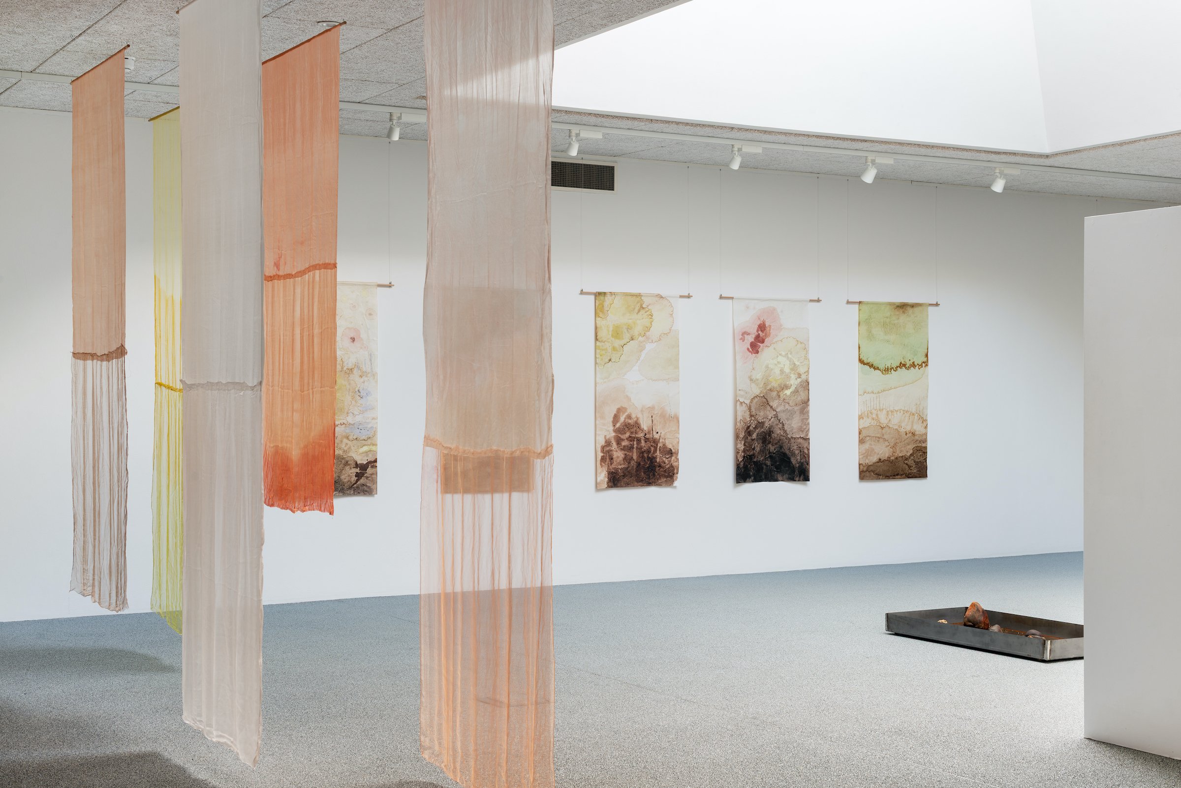 Installationsfoto, Cecilia Westerberg, <i>Videbæk - et sted med rødder i vand</i>, 2025. Foto: Jacob Friis-Holm Nielsen