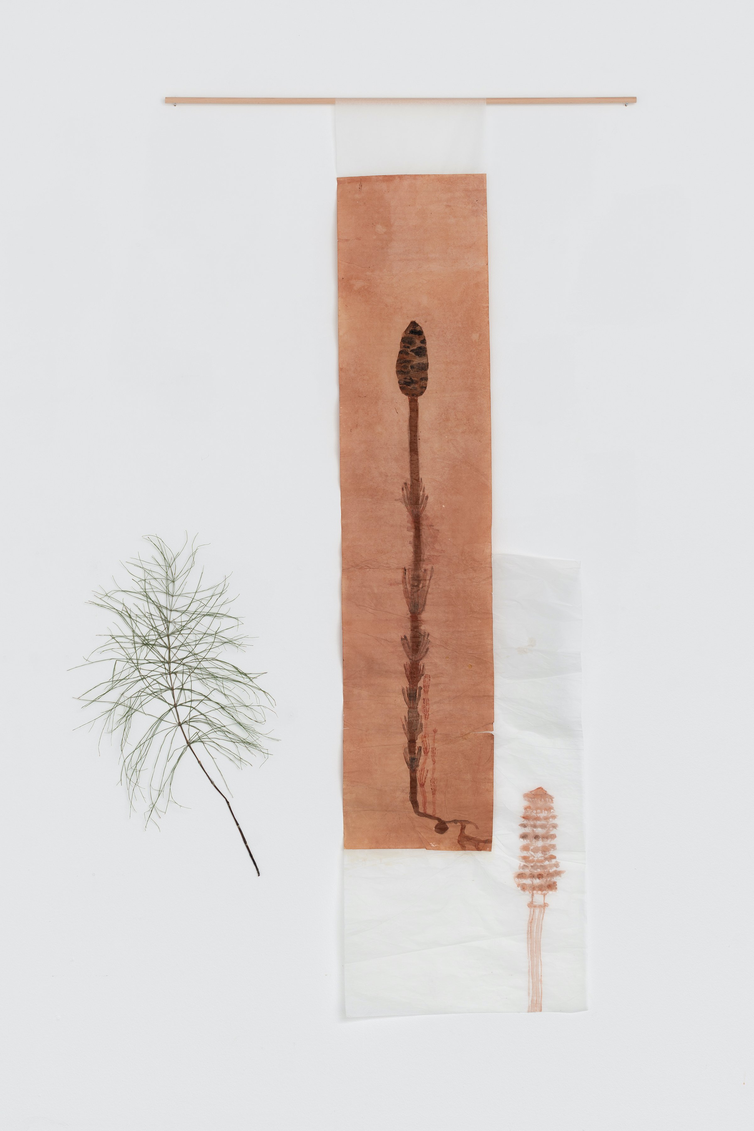 Cecilia Westerberg, japansk papir. Kraprod, perlemor, aske og agern. Padderokke. 2025. Foto: Jacob Friis-Holm Nielsen