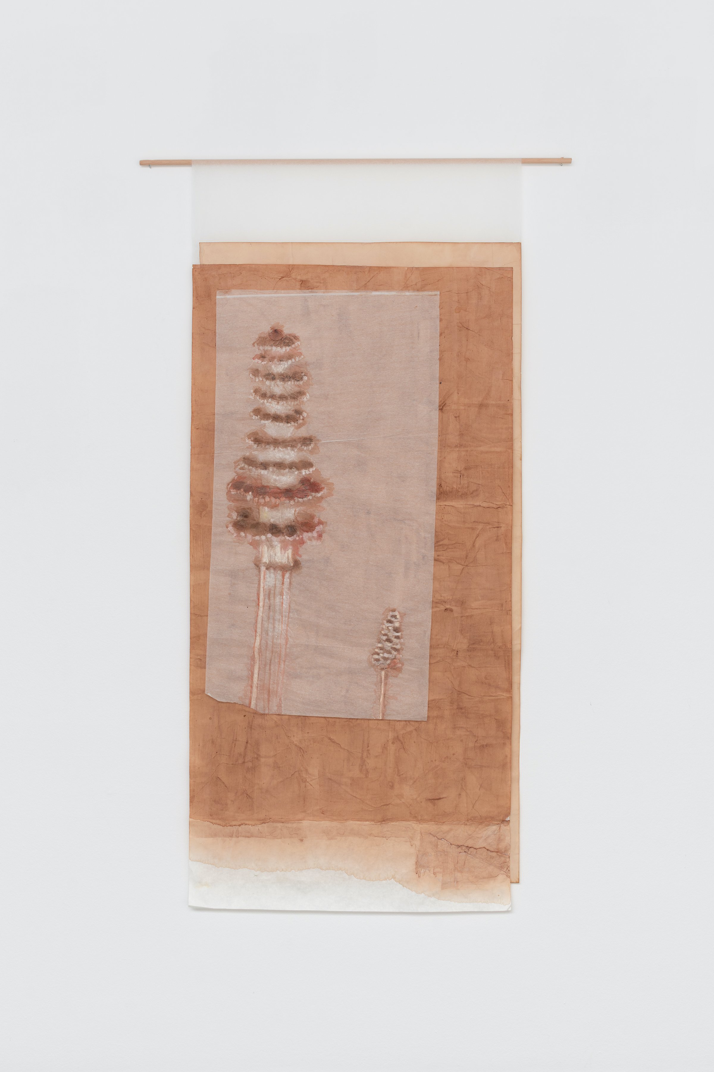 Cecilia Westerberg, Kinesisk kalligrafipapir i to lag og japansk papir. Pil og kraprod. 2025. Foto: Jacob Friis-Holm Nielsen