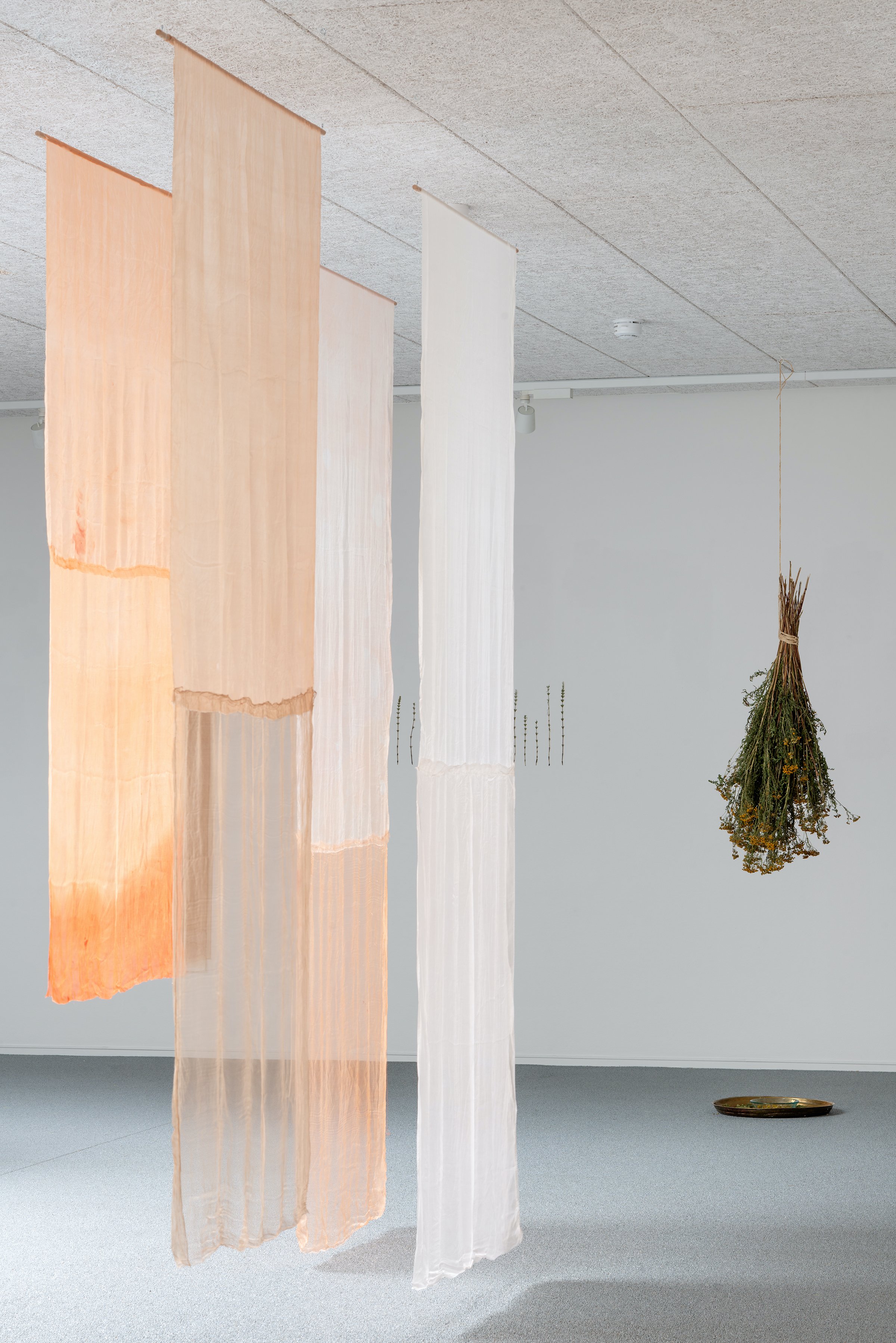 Installationsfoto, Cecilia Westerberg, Videbæk - et sted med rødder i vand, 2025. Foto: Jacob Friis-Holm Nielsen