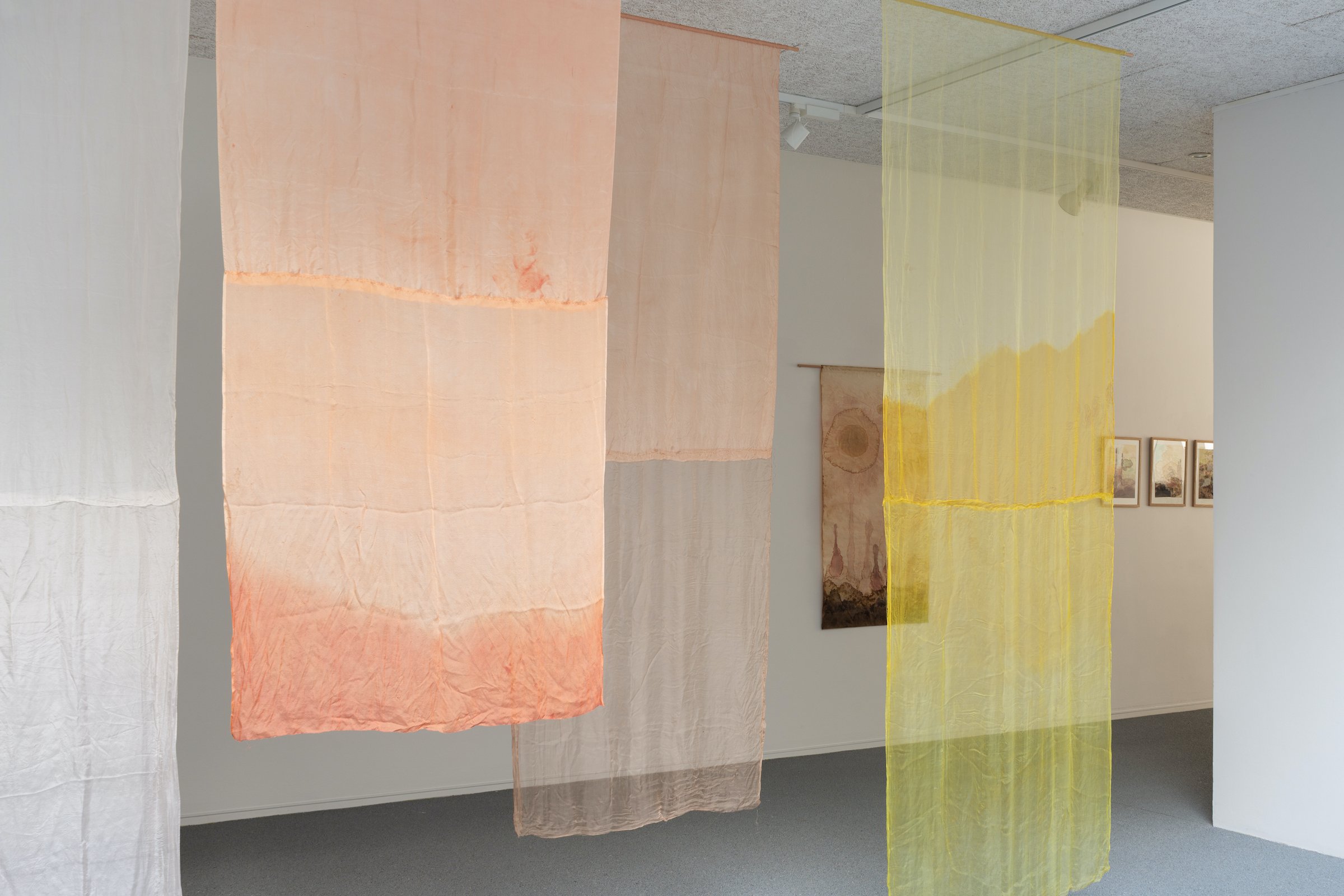 Installationsfoto, Cecilia Westerberg, Videbæk - et sted med rødder i vand, 2025. Foto: Jacob Friis-Holm Nielsen