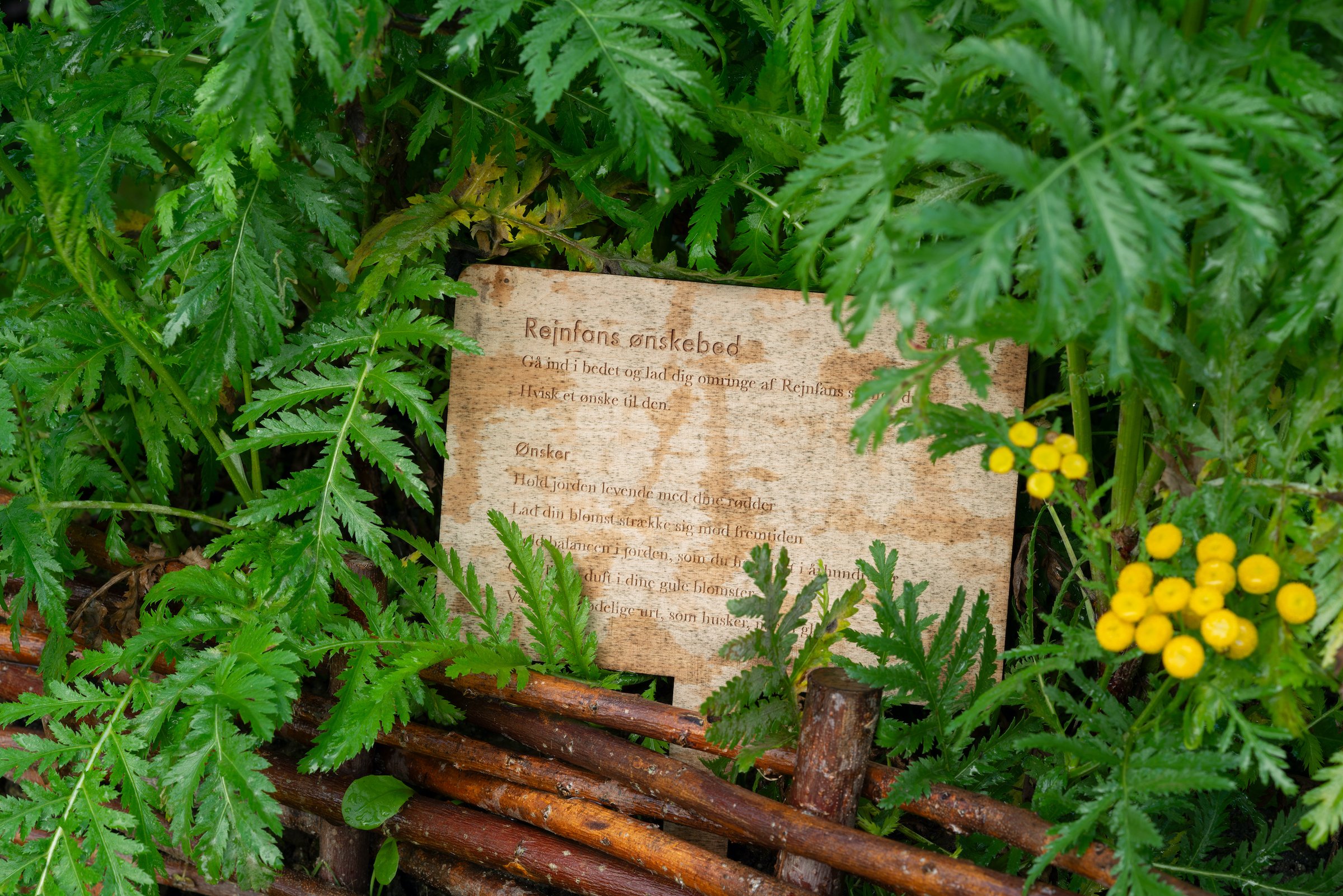 Ønskebed i Vestjyllands Kunstpavillons parkanlæg