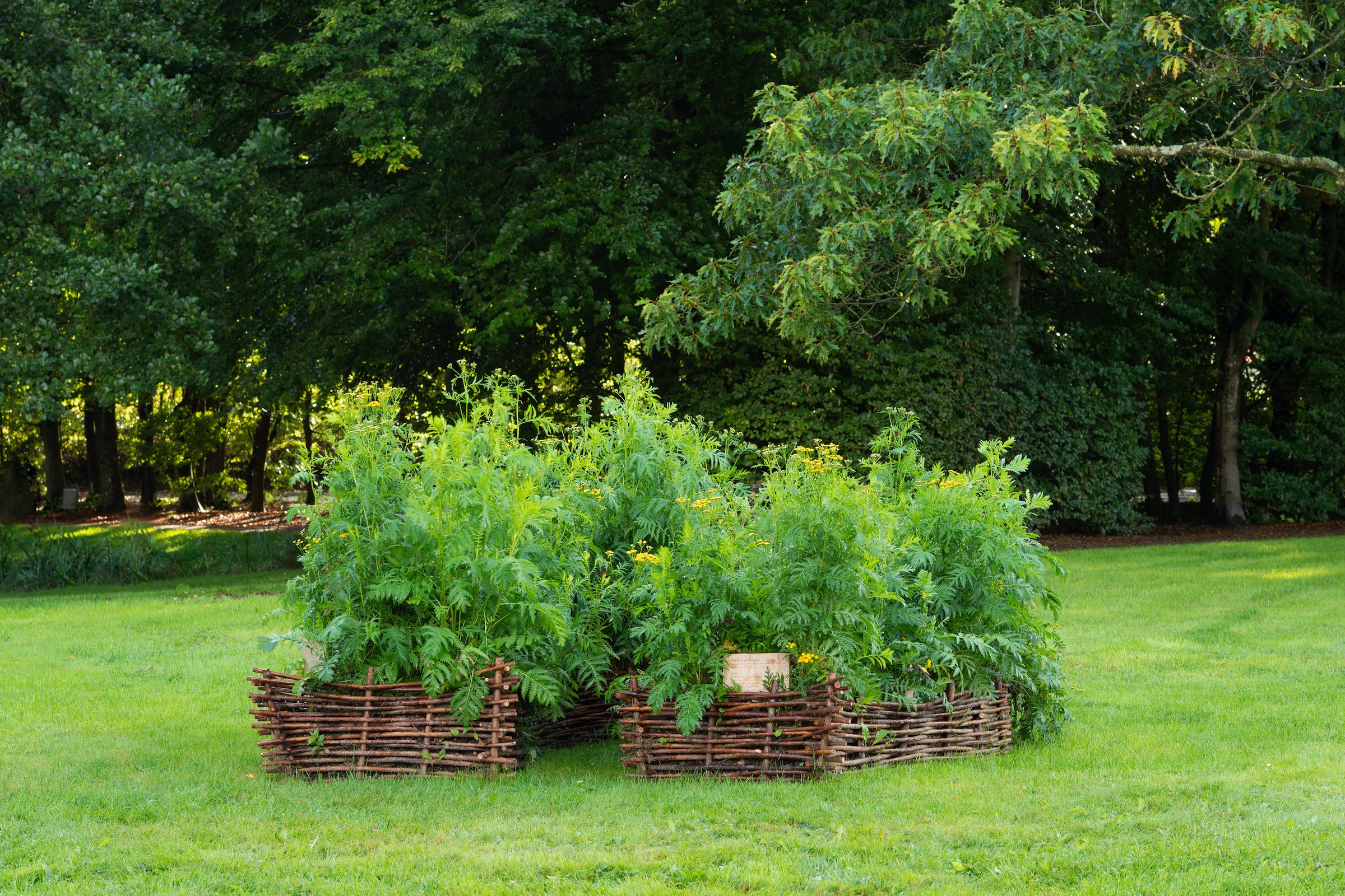 Ønskebed i Vestjyllands Kunstpavillons parkanlæg