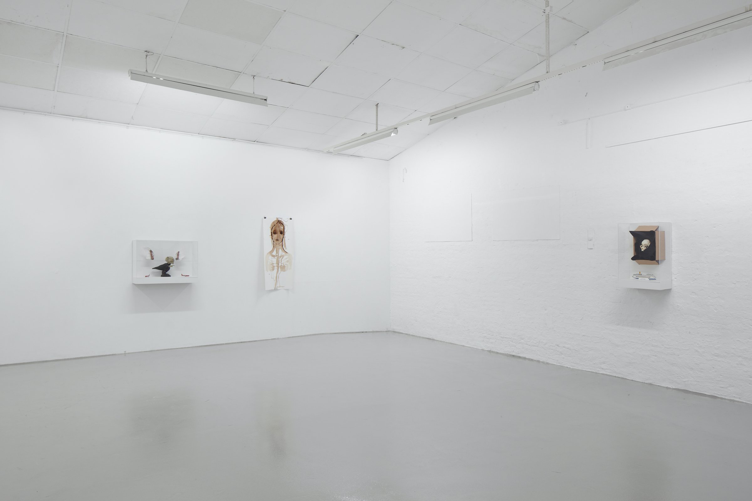 <i>AUTONOMI</i> (installationsskud), Orsolya Bagala / Martin Brandt Hansen, Ringsted Galleriet, 2025. Foto: Morten Jacobsen.