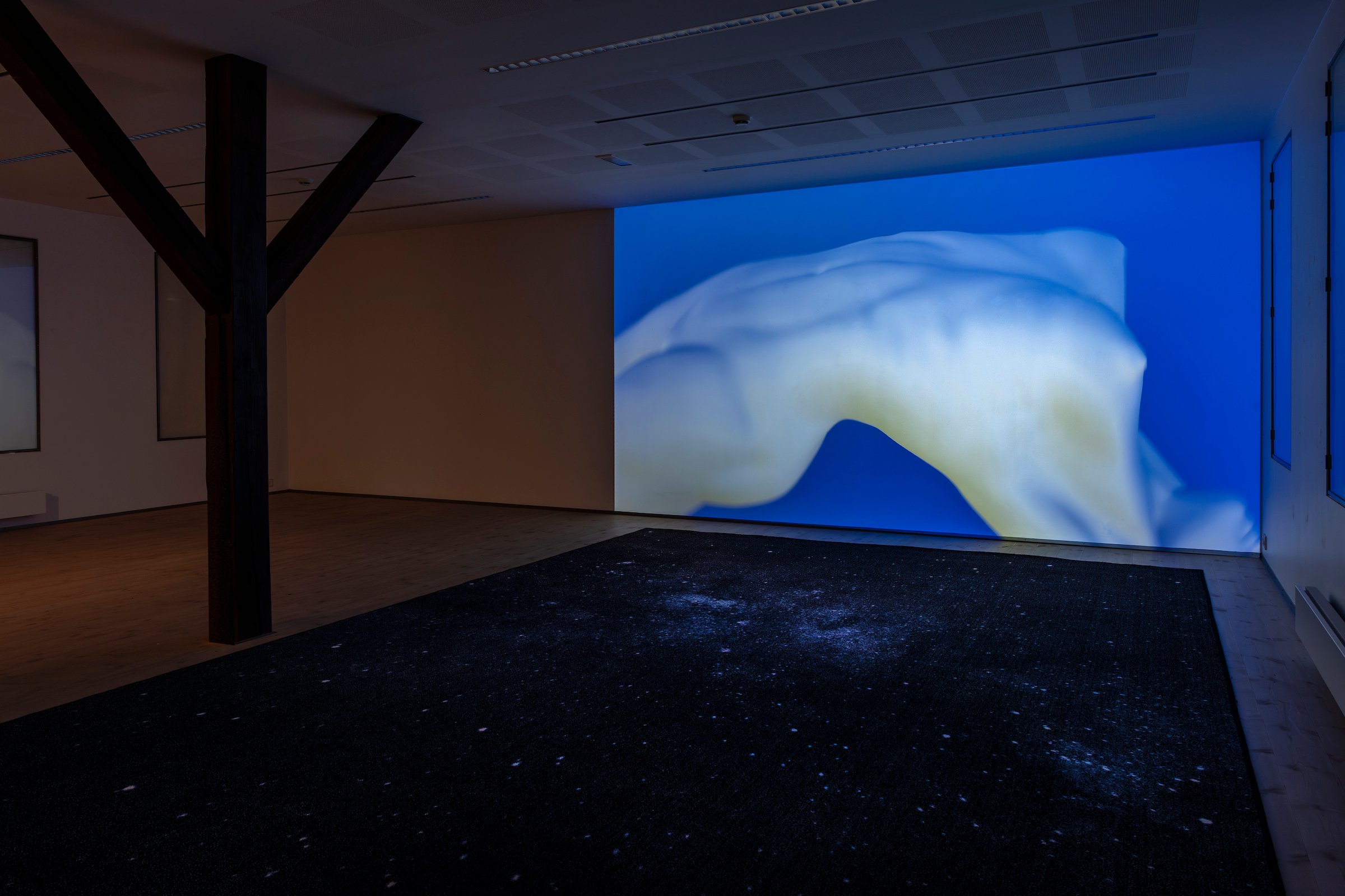 Installation view, Ditte Ejlerskov, <i>Stormens Ekko</i>, Vendsyssel Kunstmuseum, 2025. Foto: Niels Fabæk.