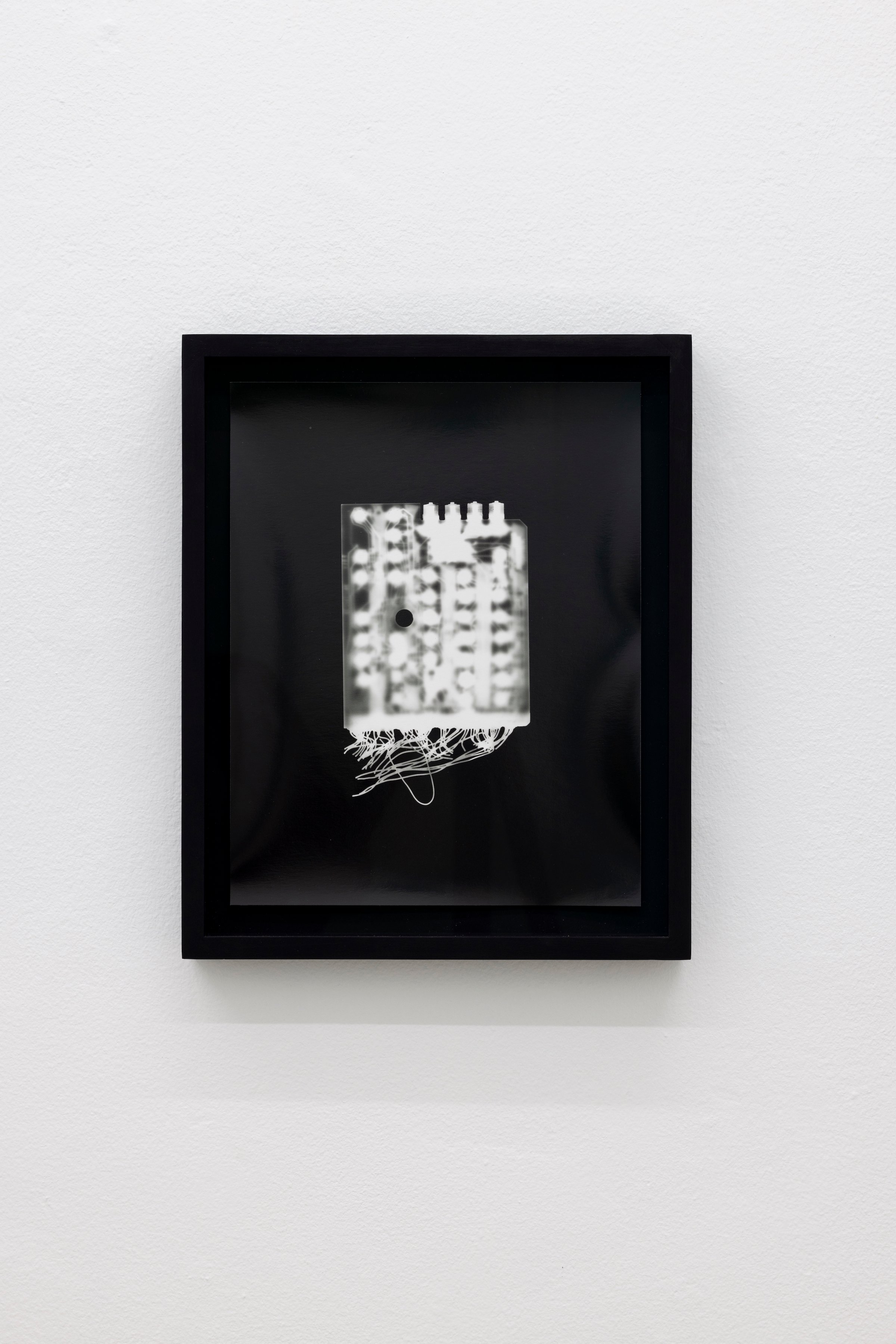 Nanna Debois Buhl, Cosmic Creatures 2021. Foto Jan Søndergaard