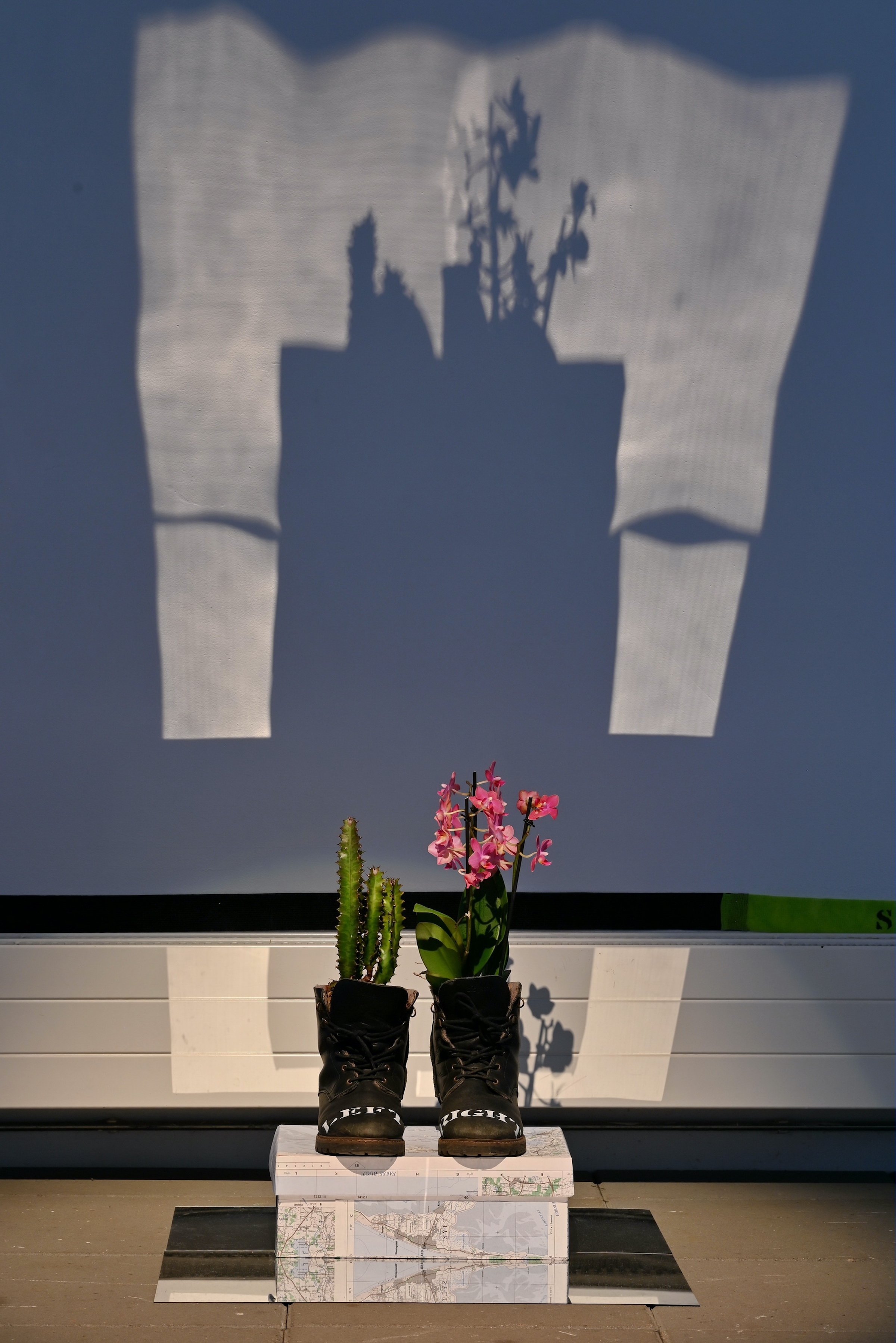 Amir Zainorin, Left or Right. From the Boot-ed series, læderstøvler/ kaktus/ orkidé/ atlas-beklædte skotøjsæsker/ spejl, varierende, 2025. Foto: Ole Jørgensen.
