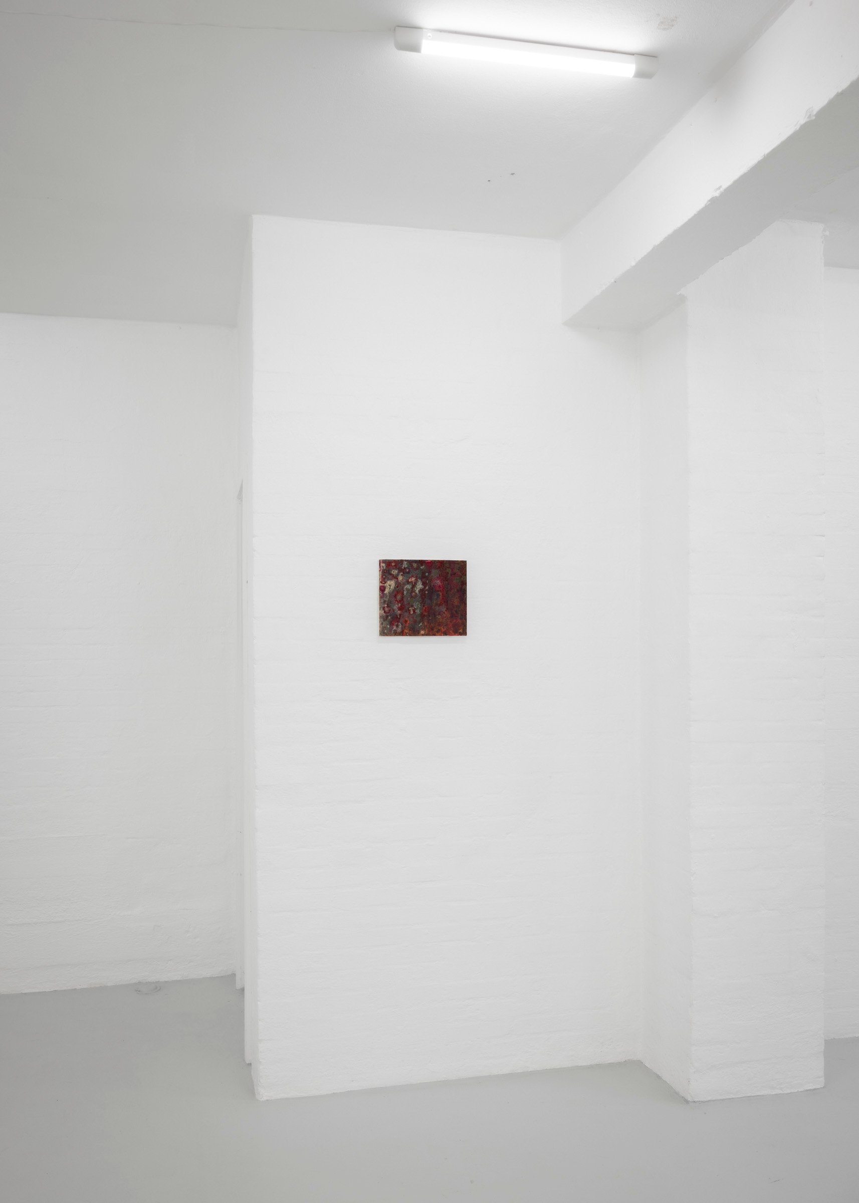 Morten Knudsen, Untitled (Y), 2024 - 2025. Foto: Malle Madsen