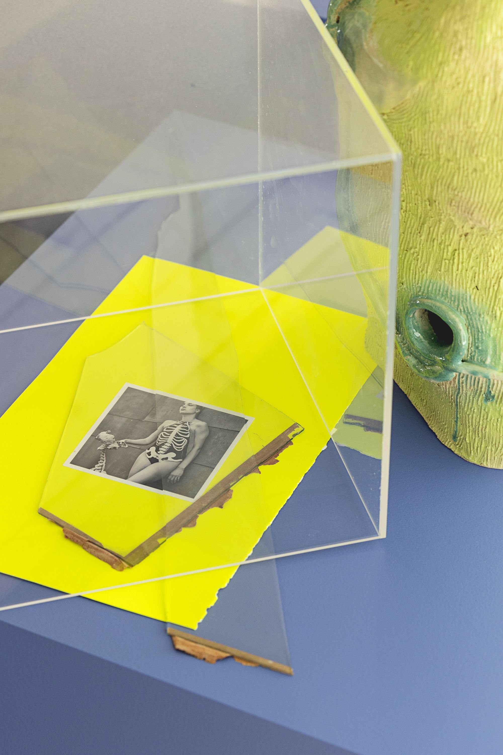 Christina Hamre, <i>Natteunge</i> (2023) og <i>Flora Corpus</i> (2025), udsnit. Foto: Frida Gregersen