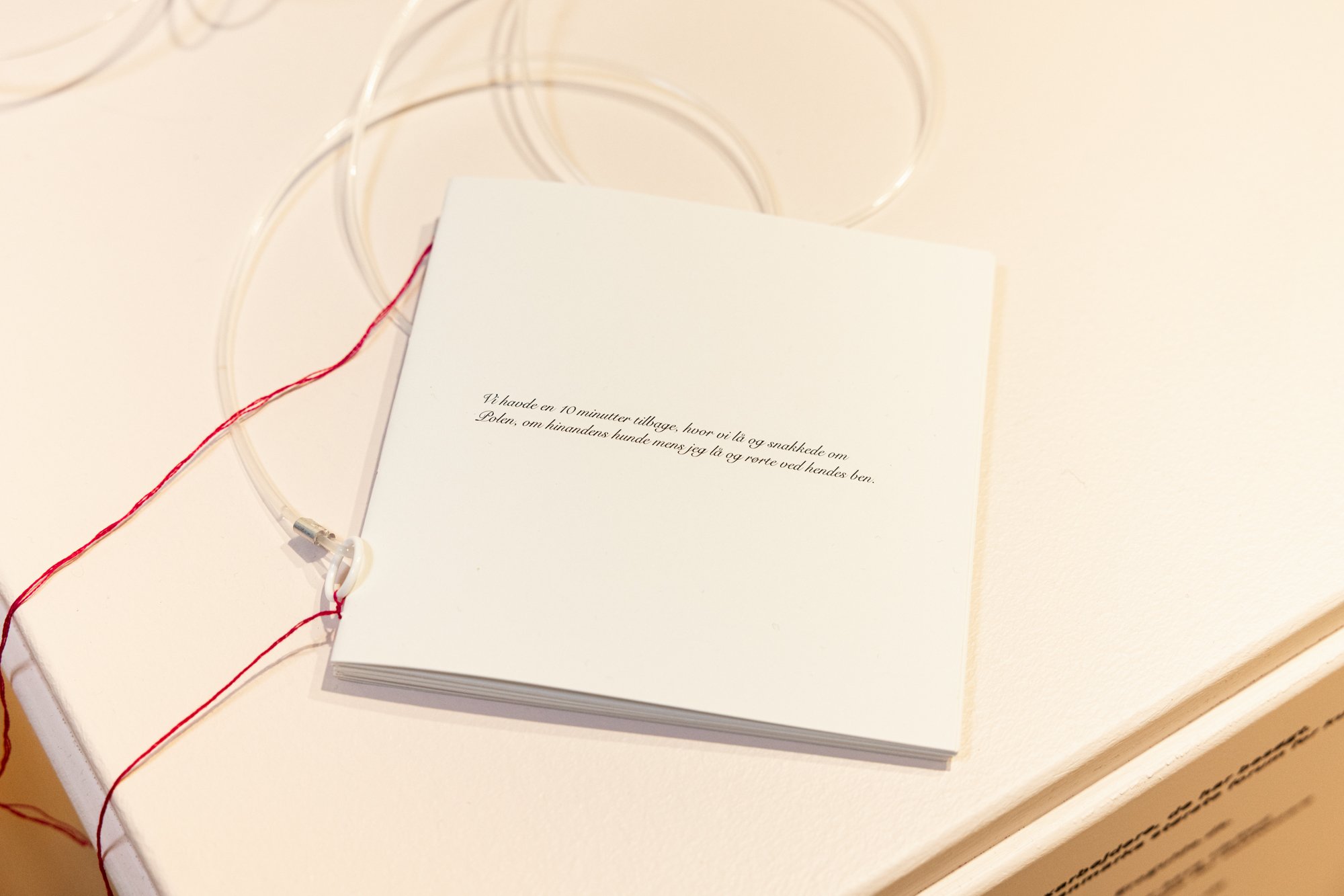 Udstillingen You still don’t know my name af Louise Herrche Serup og Sarah Hartvigsen Juncker. KØN - Gender Museum Denmark. Foto: Tobias Nicolai