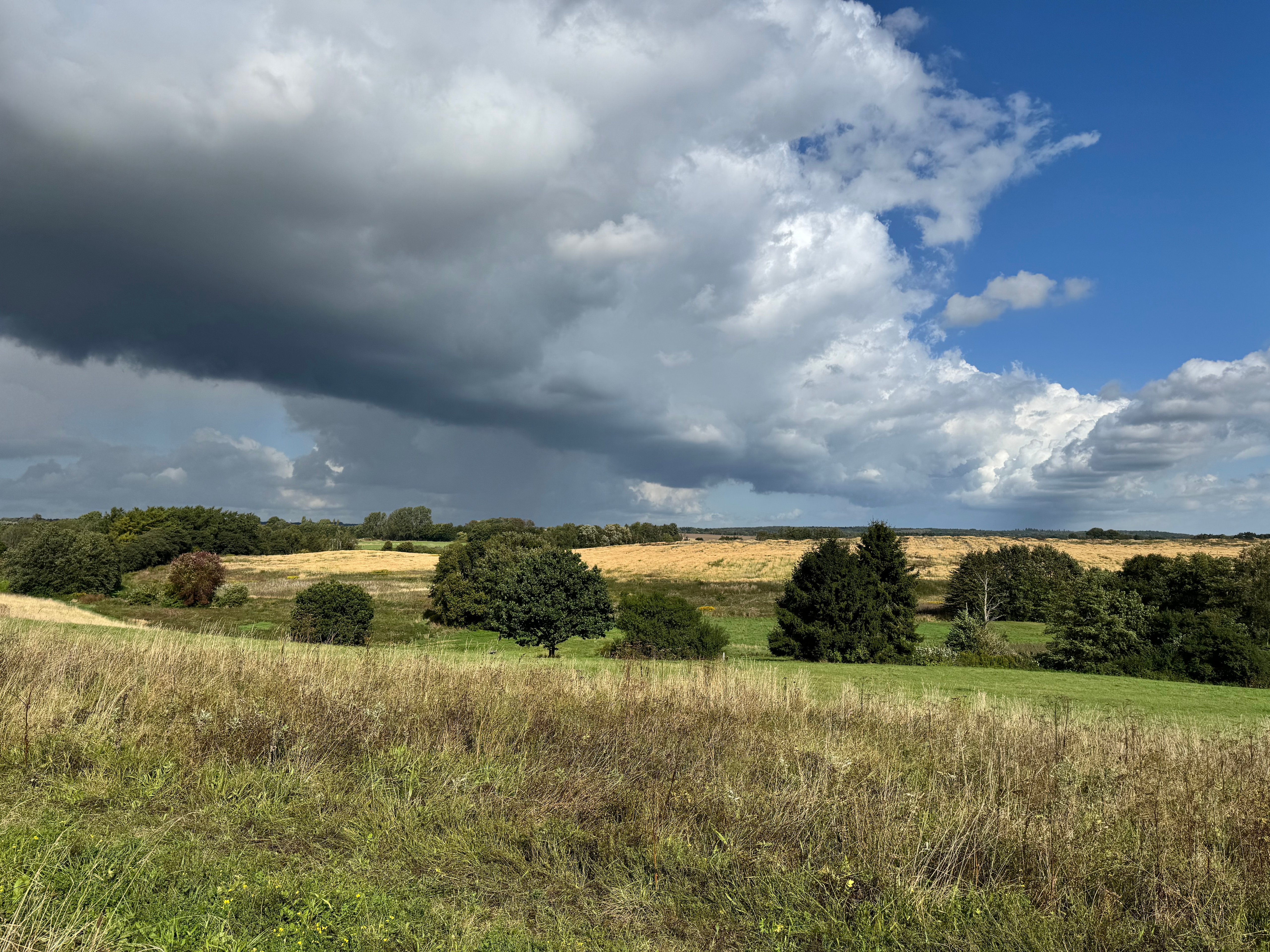 Synet af landskabet ved Kildedal er ren idyl. Foto: Jan Falk Borup