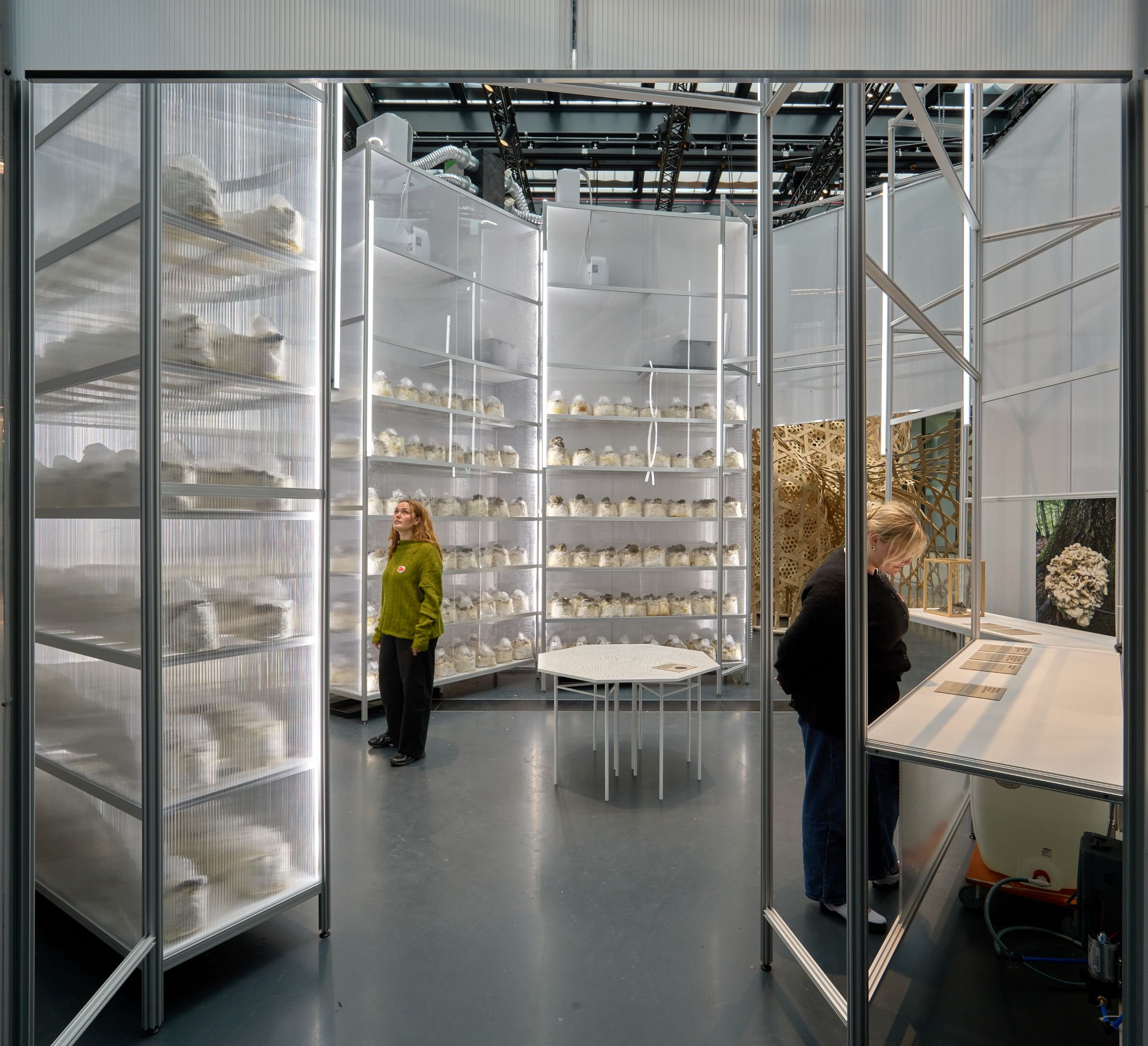 Dansk Arkitektur Center, Age of Nature. Installationsfoto: Anders Sune Berg