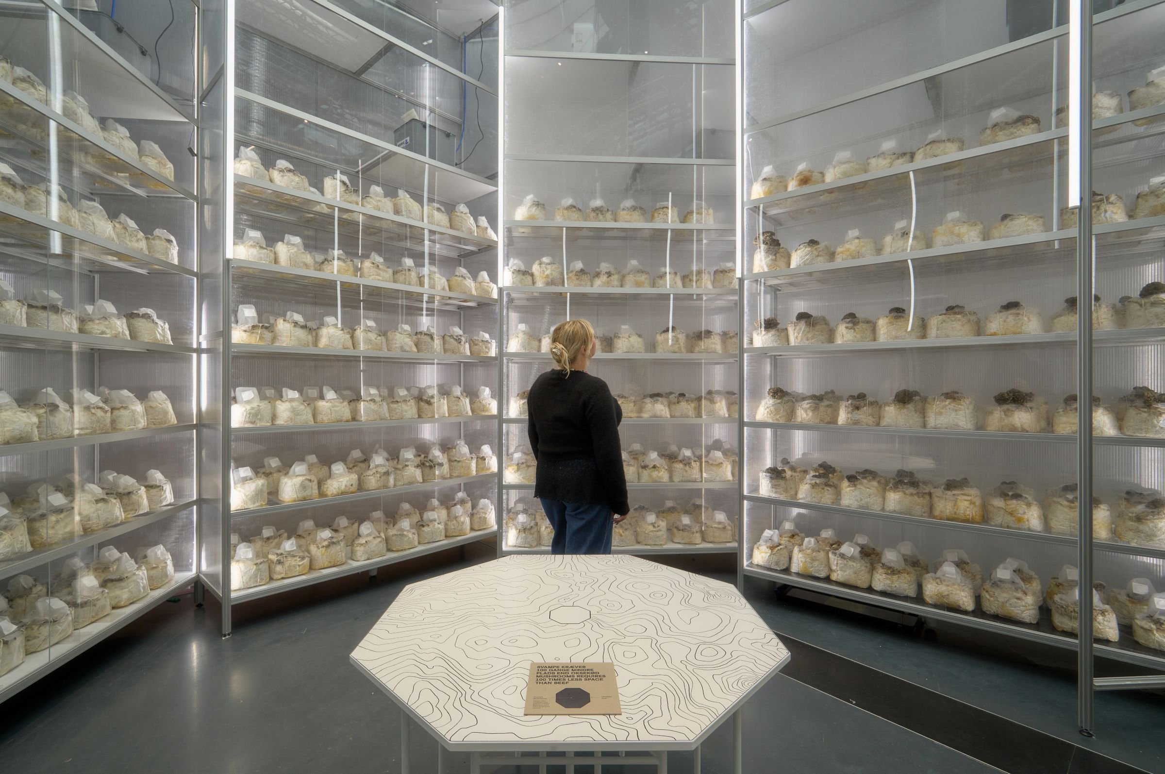 Dansk Arkitektur Center, Age of Nature. Installationsfoto: Anders Sune Berg