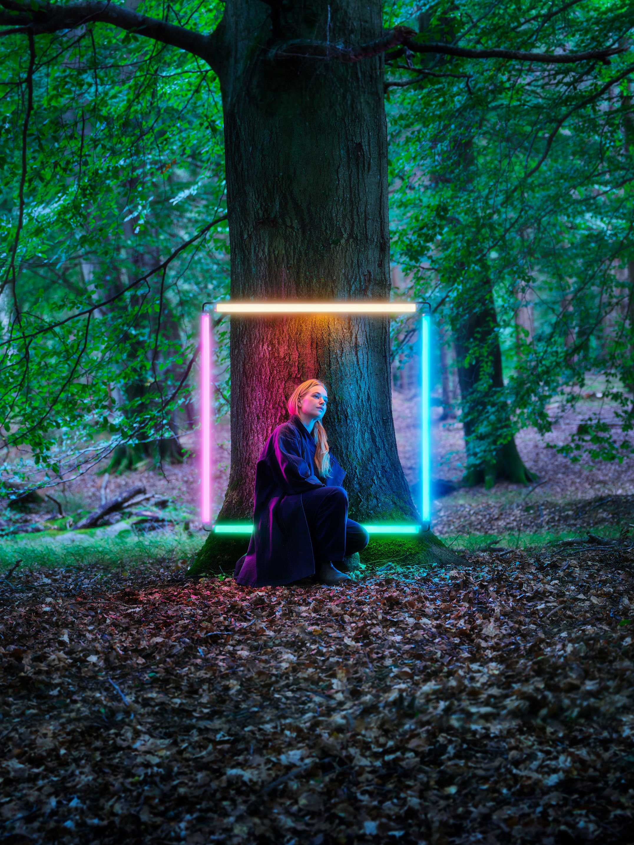 Dansk Arkitektur Center, Age of Nature. Installationsfoto: Anders Sune Berg