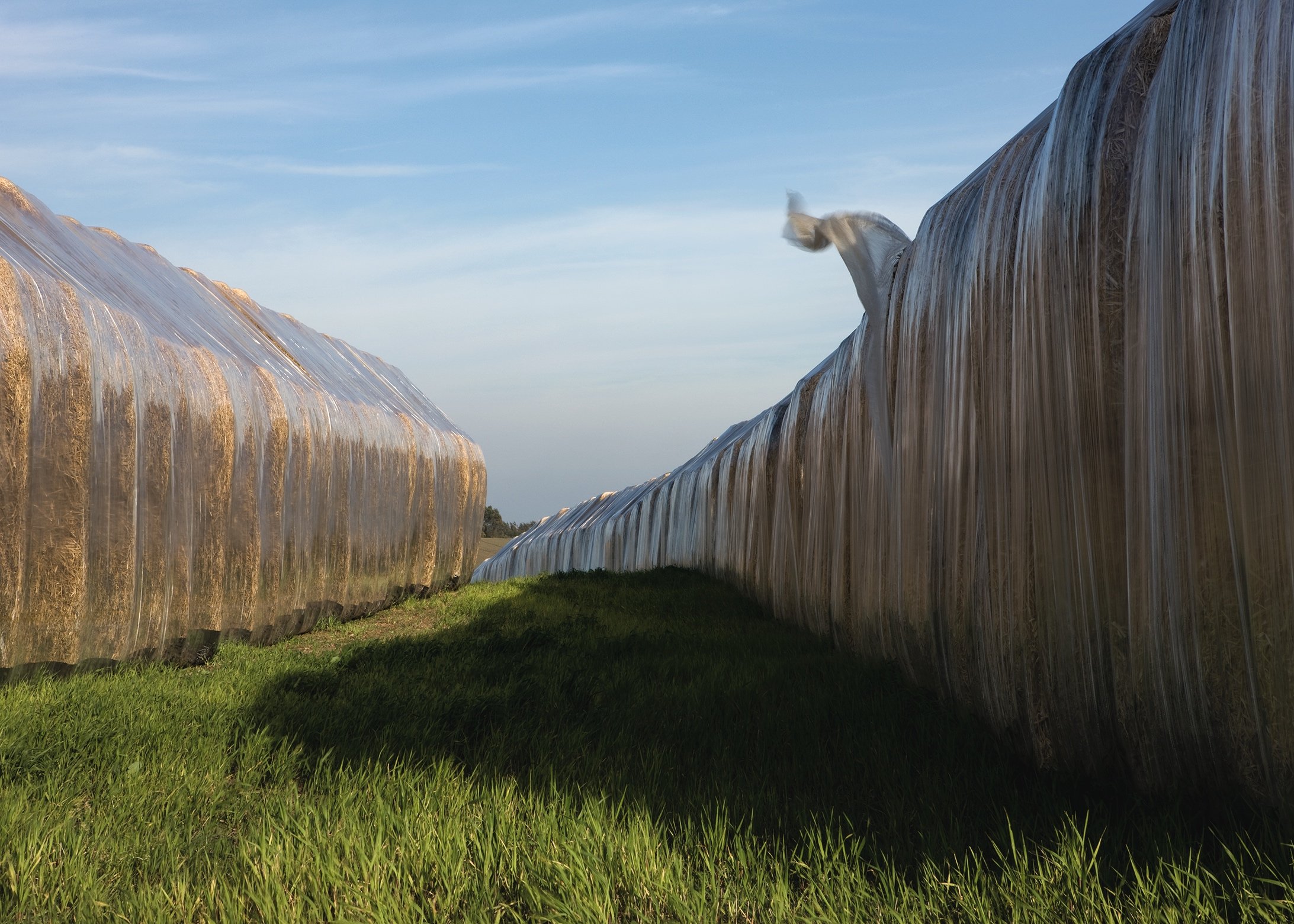 Per Bak Jensen: <em>Høst</em>, 2008, Sorø Kunstmuseum.