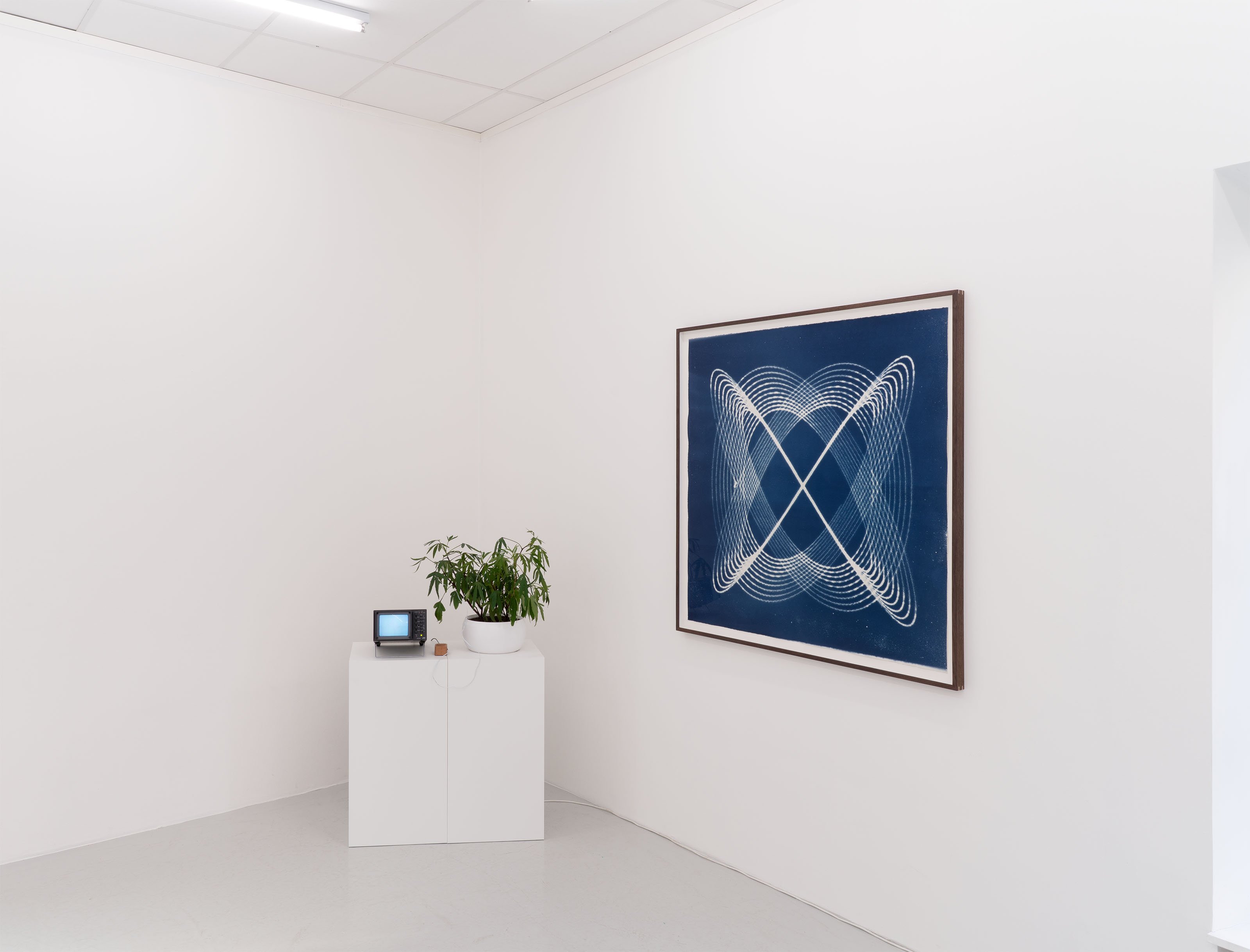 Udstillingsview Atlantis Anew af Louise Foo på Bricks Gallery, 2025. Foto: Bricks Gallery