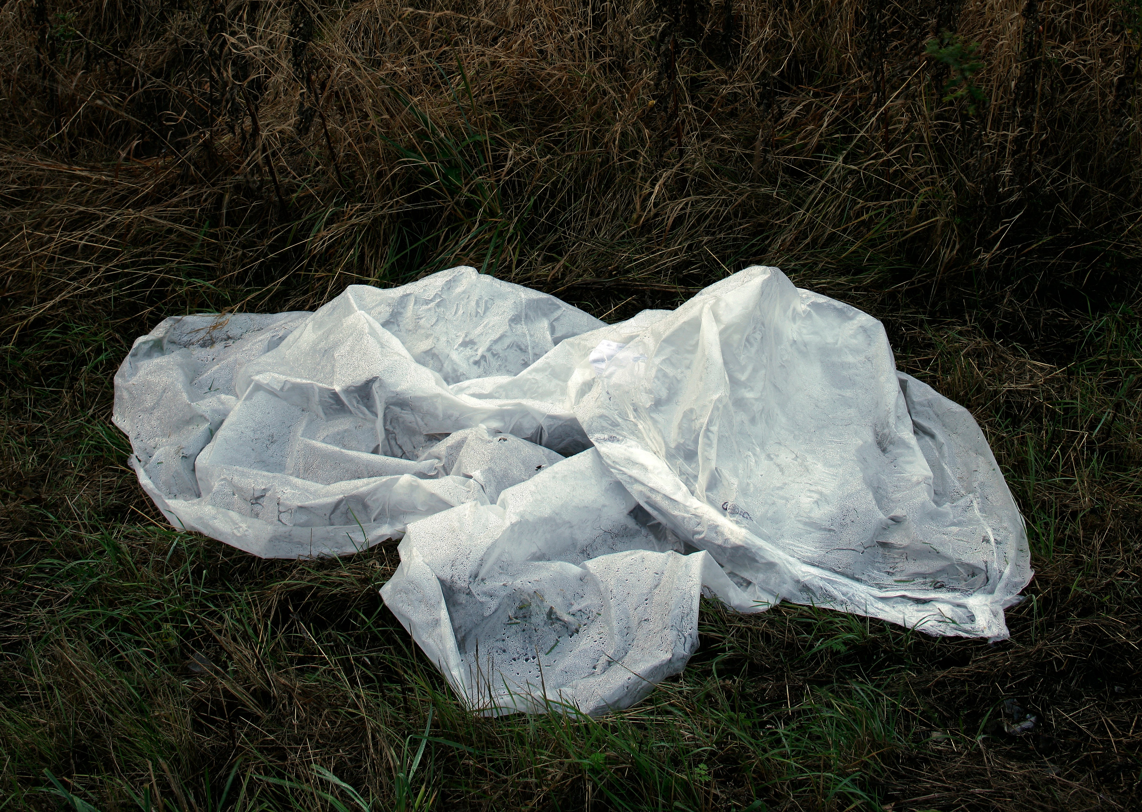 Per Bak Jensen: <em>Plastik</em>, 2005, Sorø Kunstmuseum.