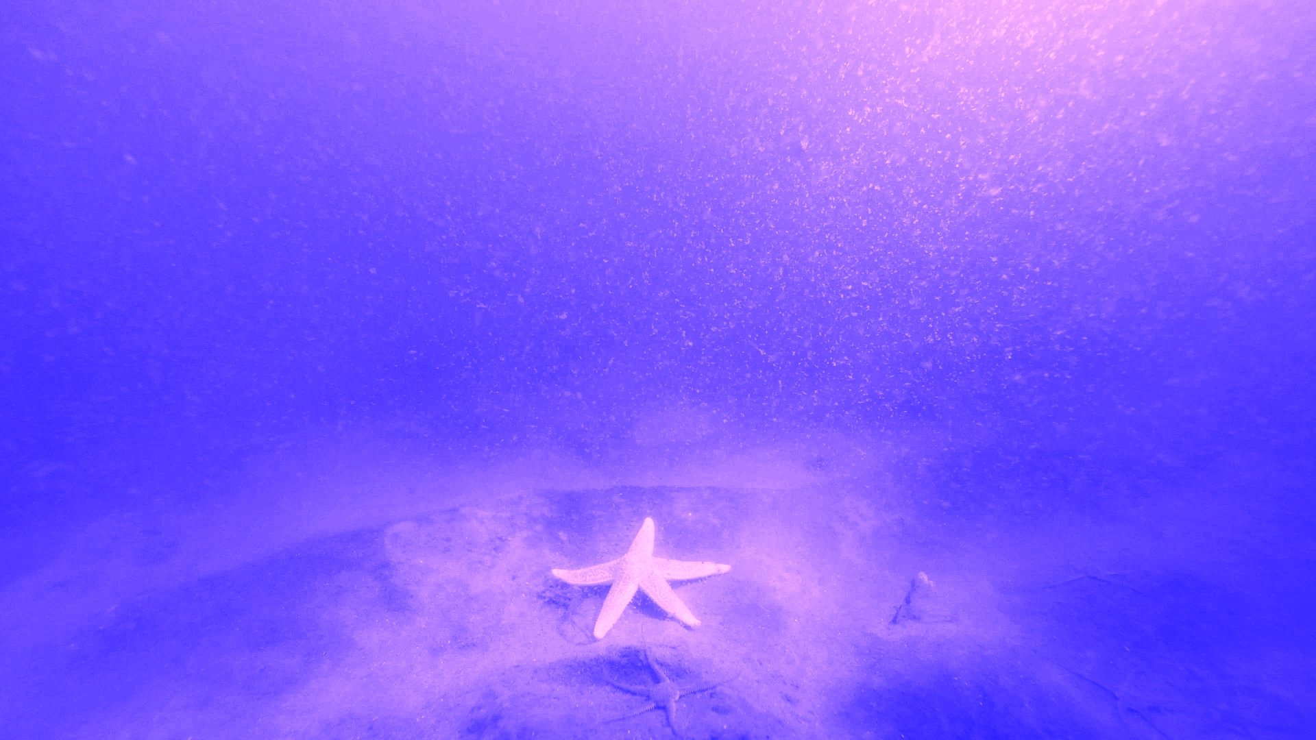 Marie Kølbæk Iversen, <i>Tiden og Stunden</i>, 2025