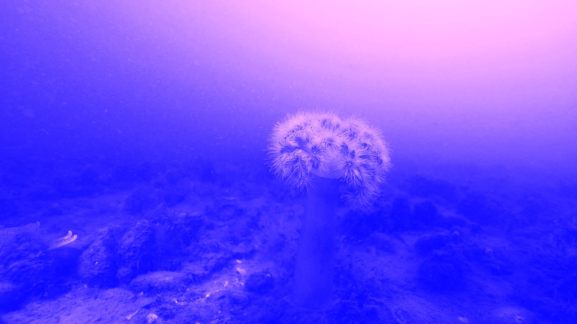 Marie Kølbæk Iversen, <i>Tiden og Stunden</i>, 2025