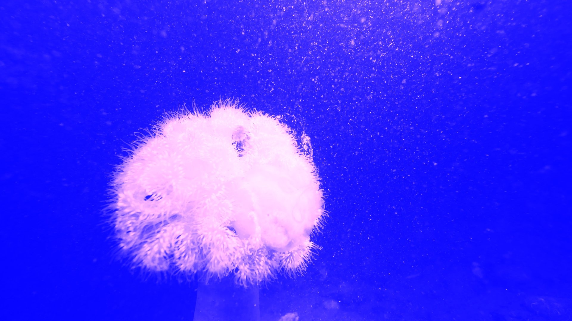 Marie Kølbæk Iversen, <i>Tiden og Stunden</i>, 2025