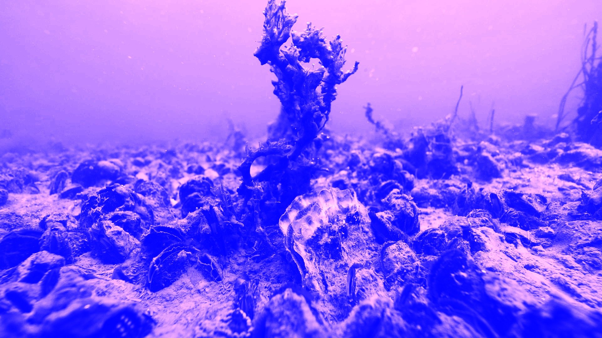 Marie Kølbæk Iversen, <i>Tiden og Stunden</i>, 2025