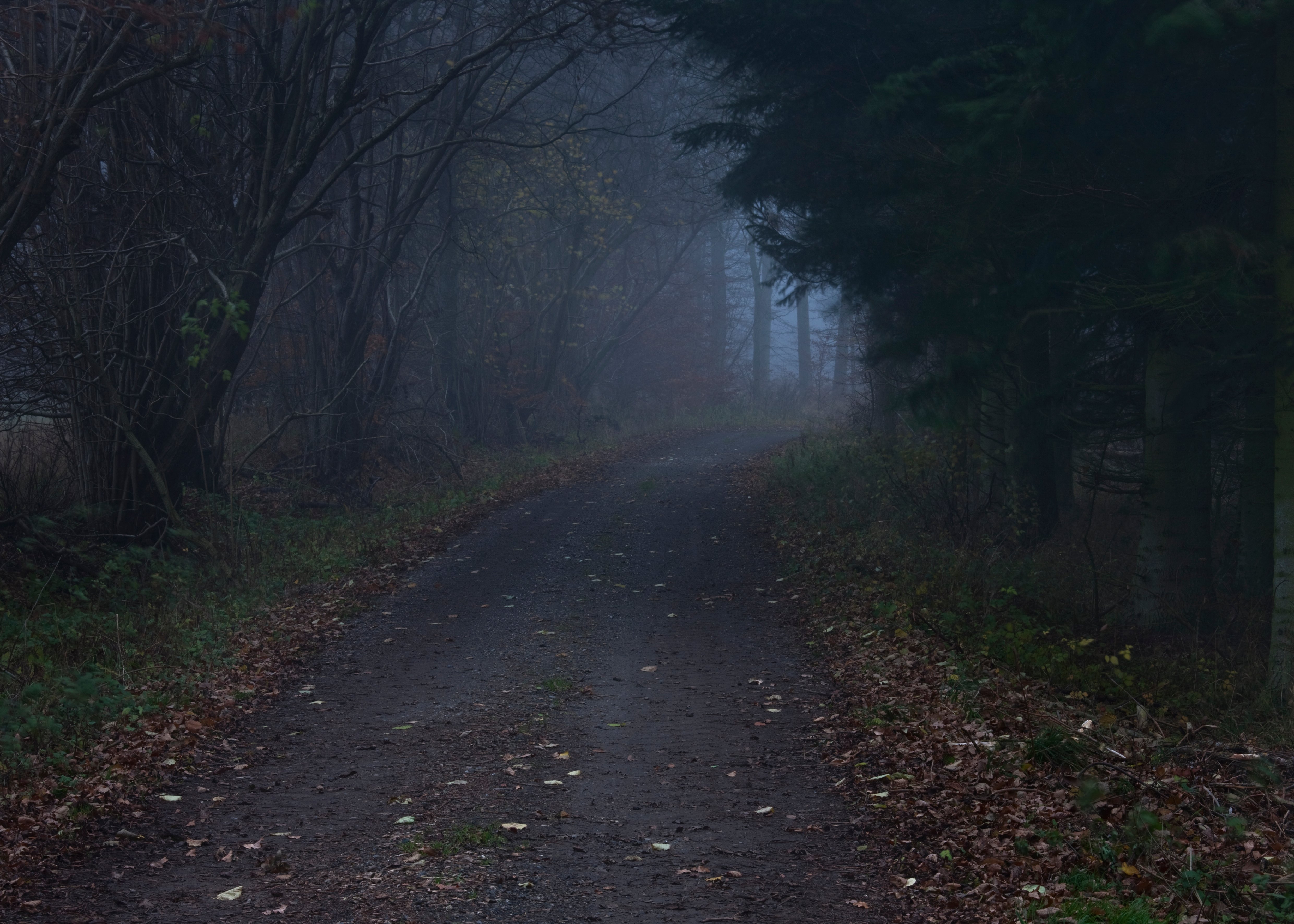 Per Bak Jensen: <em>The Road</em>, 2013, Sorø Kunstmuseum.