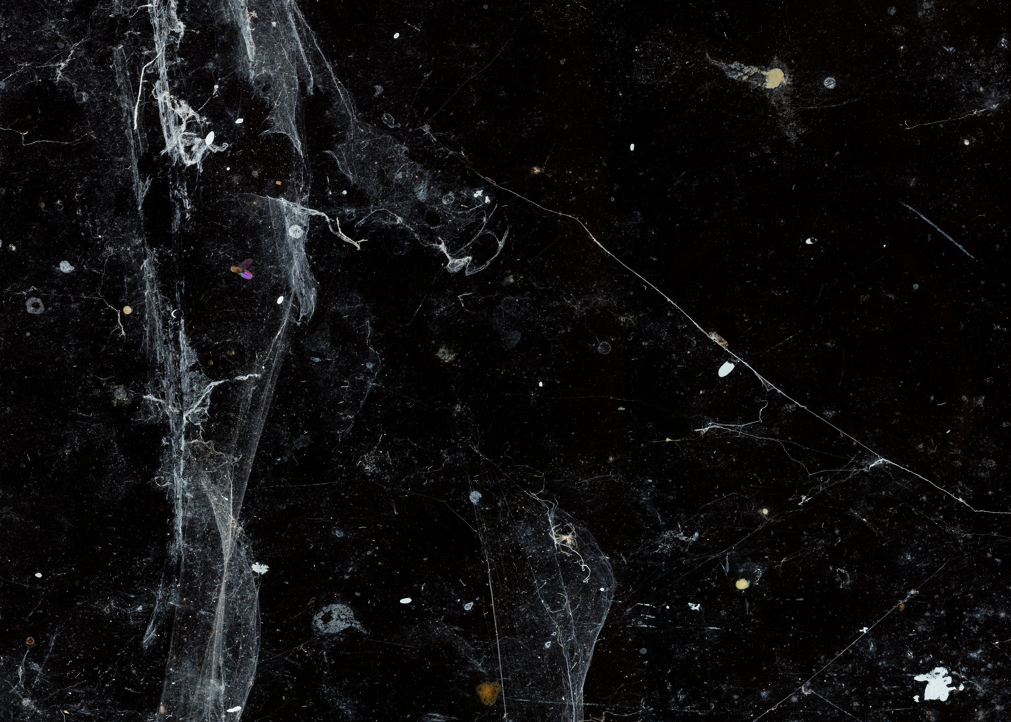 Per Bak Jensen: <em>Spindelvæv</em>, 2018, Sorø Kunstmuseum.