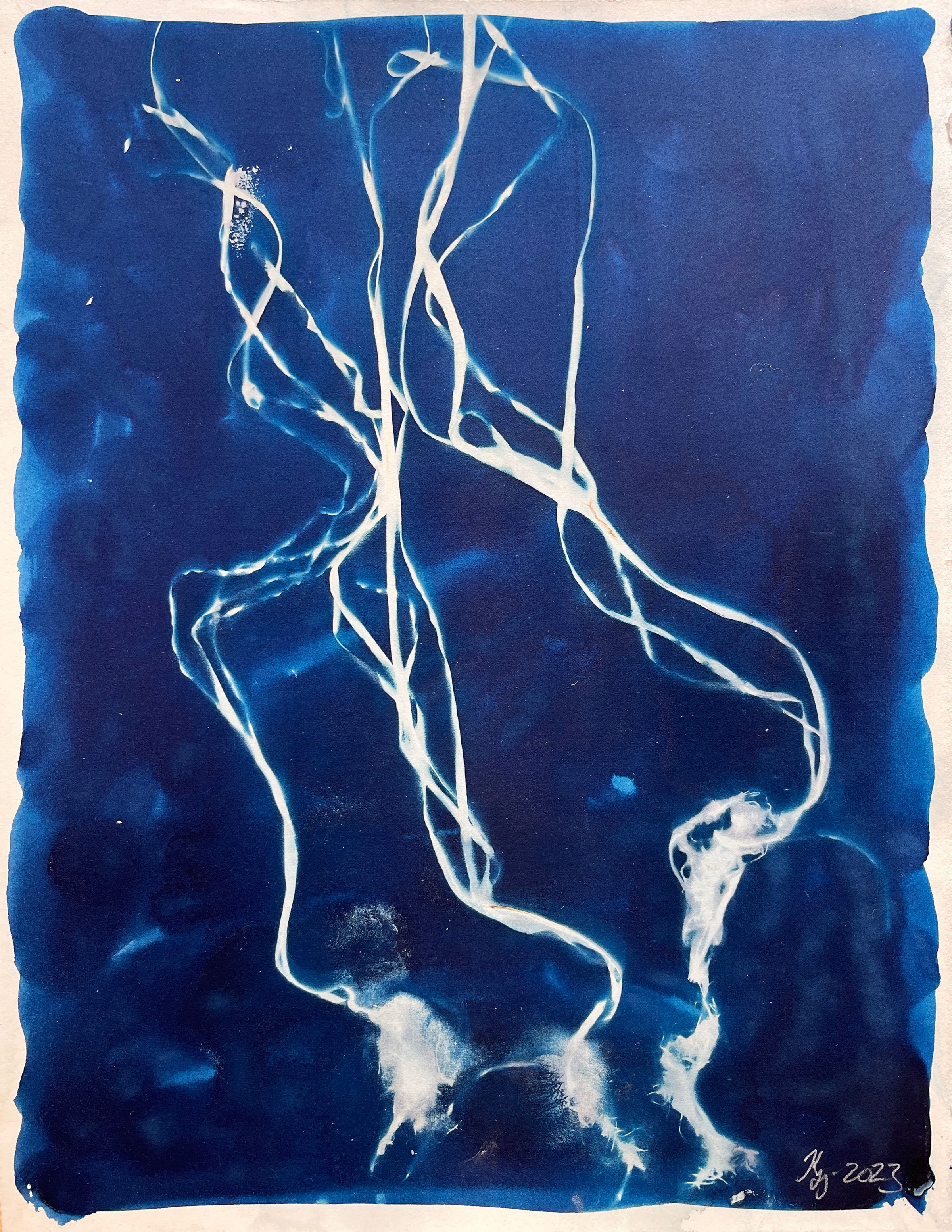 Karin Lykke: Biodiversity Eelgrass, 2022.