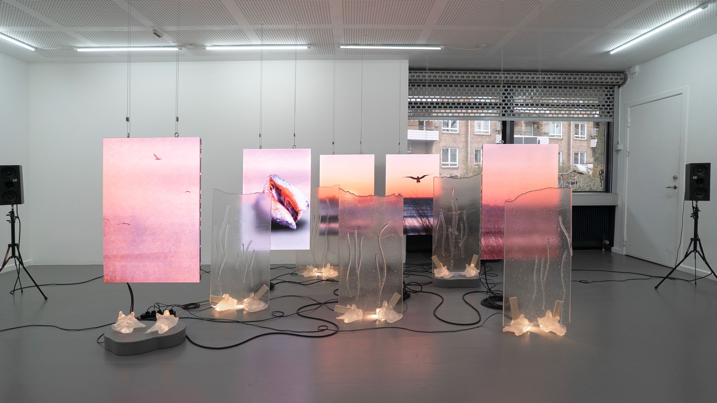 View af Lys, skygge og lækage