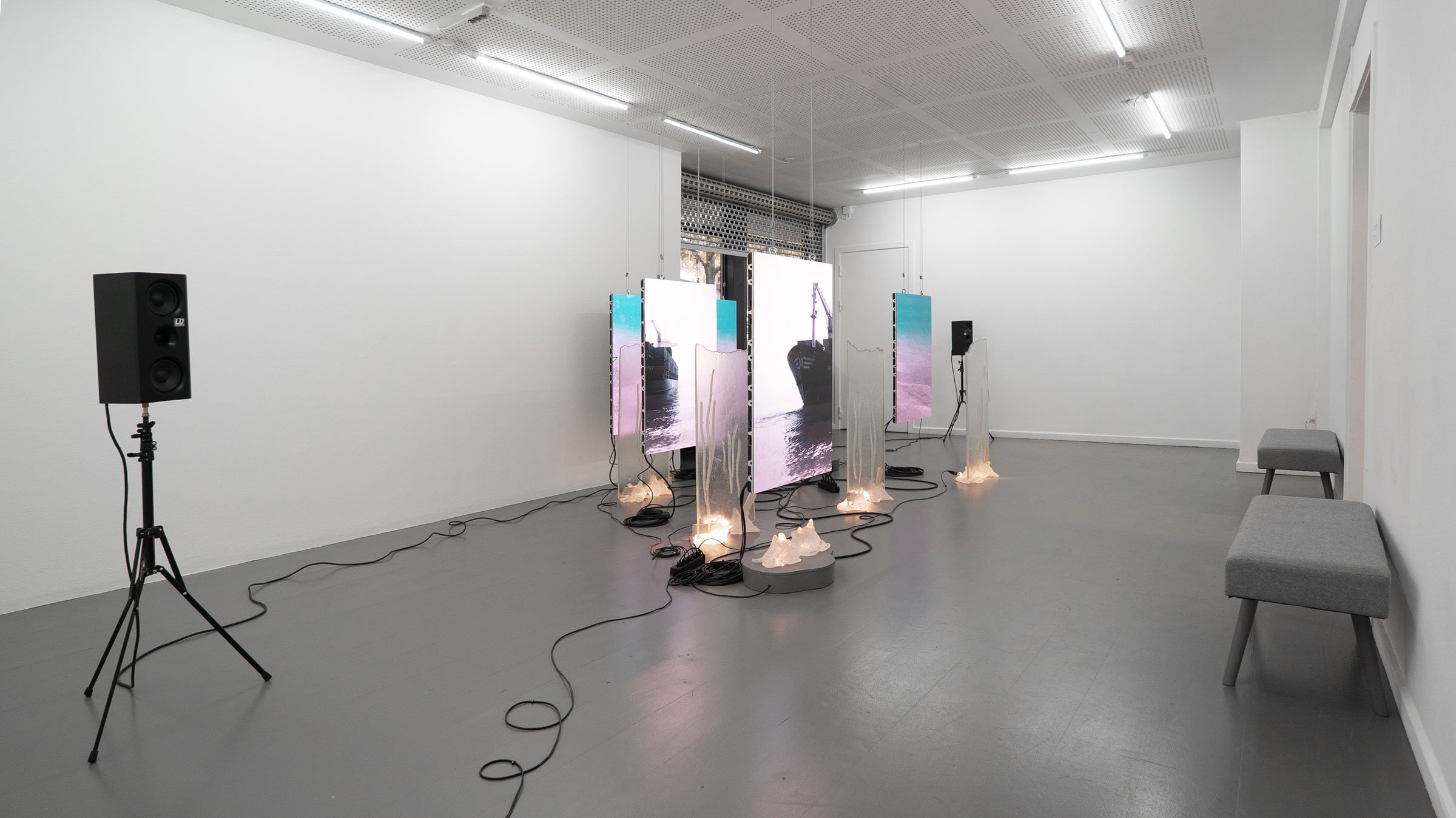 View af <i>Lys, skygge og lækage</i>