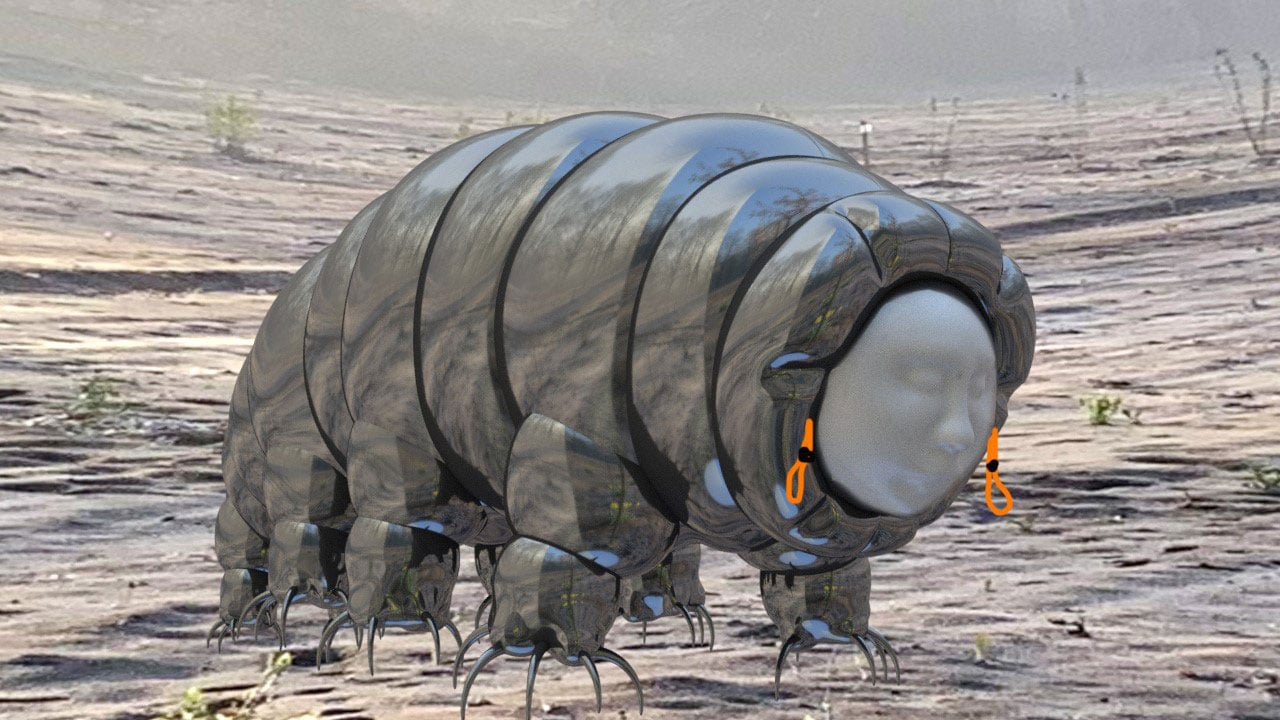 Værk af Stine Deja. Foto: Viborg Kunsthal