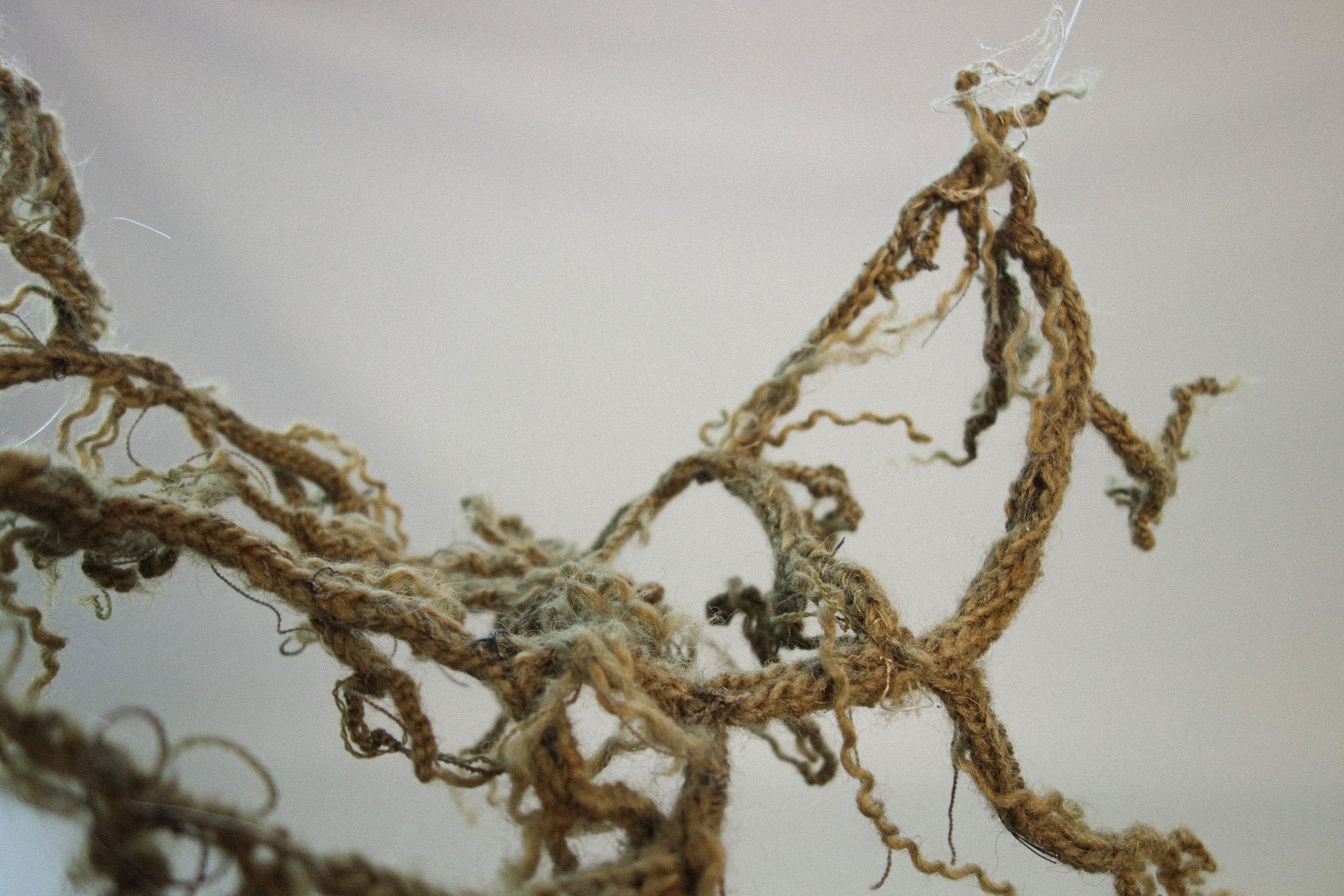 Close-up af Alberte Bagers Rødder, 2025. Foto: Spinderihallerne.