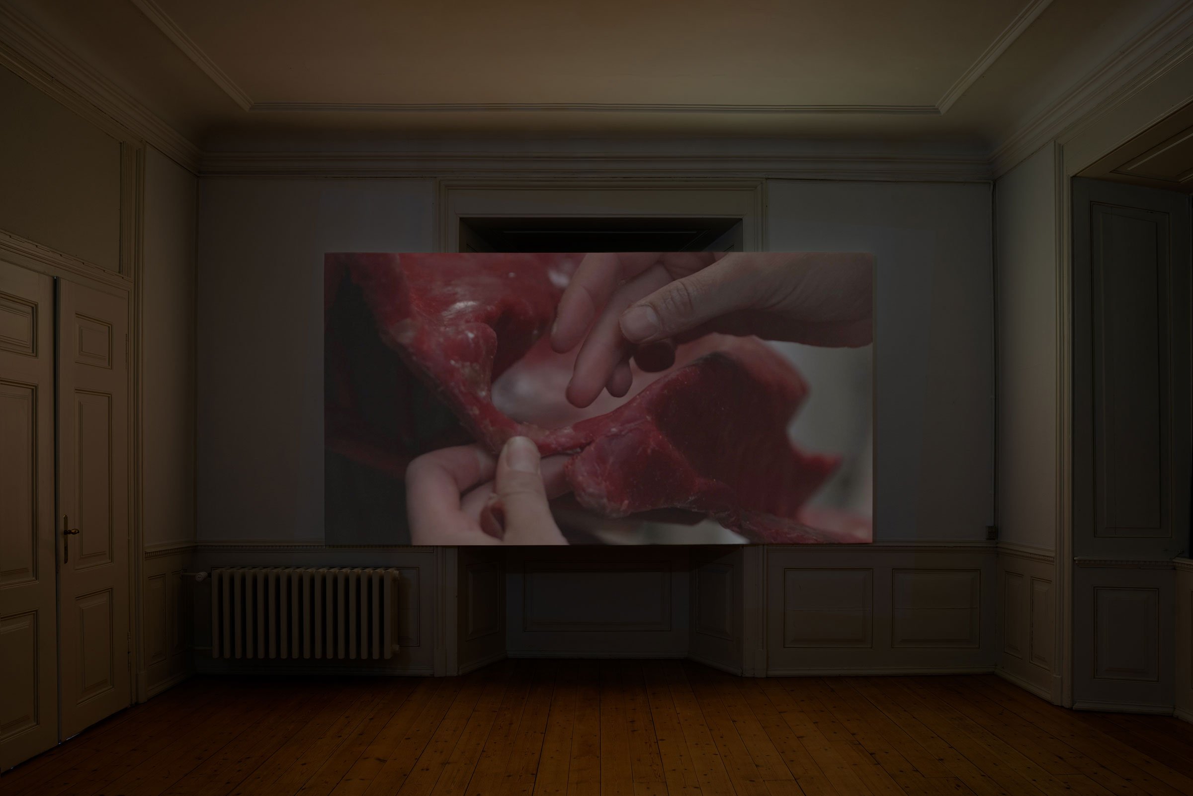 Videoværket <i>Fluid and Firm</i>, 2024 af Tina Maria Nielsen. Foto: Jacob Friis-Holm Nielsen.