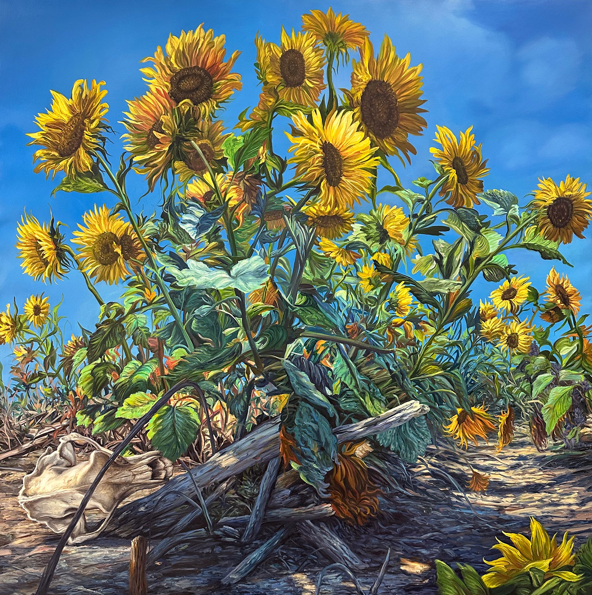 Angela Gram: <i>Bear Skull</i>, 2026. Foto: Gallery Poulsen