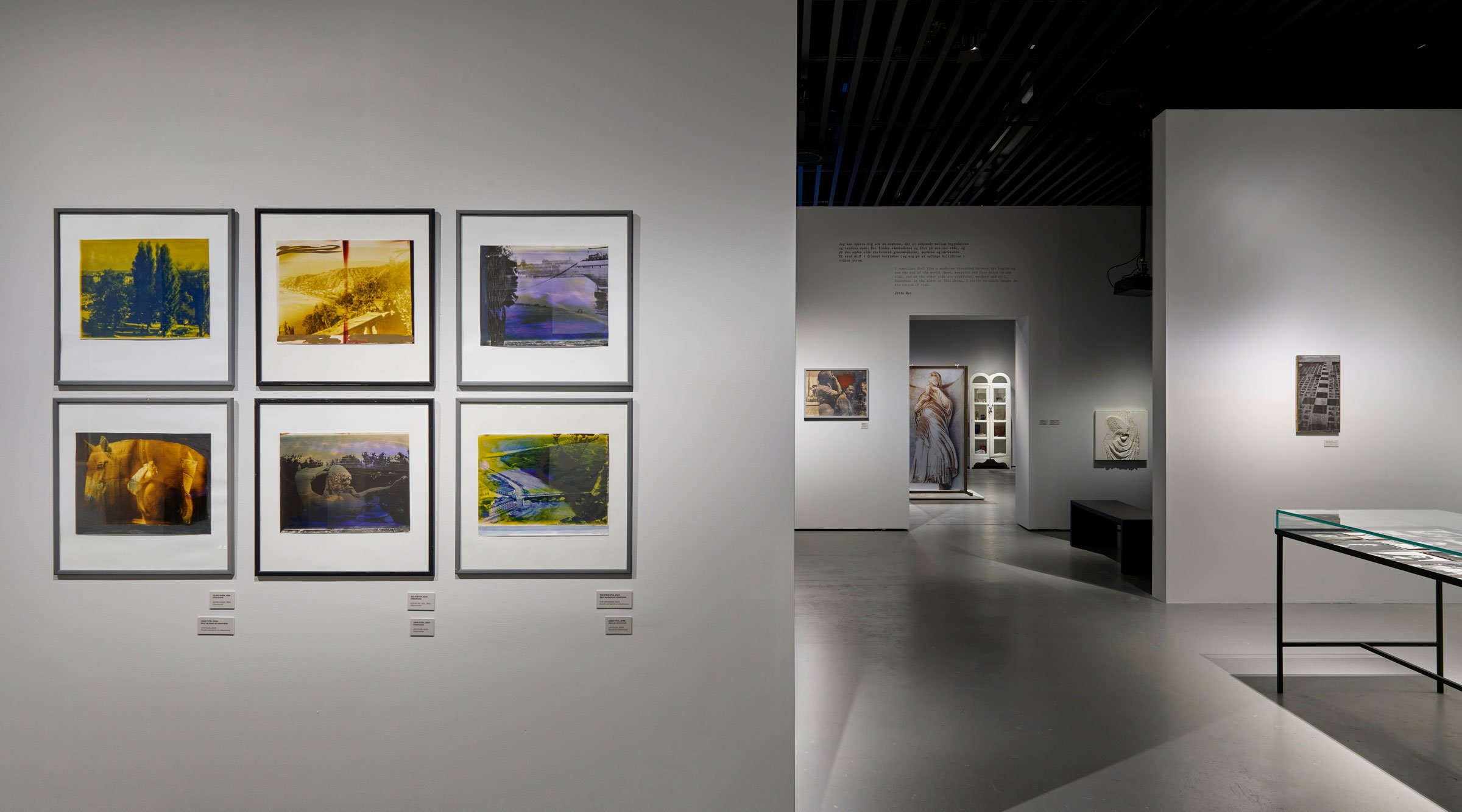 Installationsfoto fra udstillingen <i>Jytte Rex – Drømmen og den rasende latter</i> i Den Sorte Diamant – Det Kgl. Bibliotek. Foto: Anders Sune Berg.