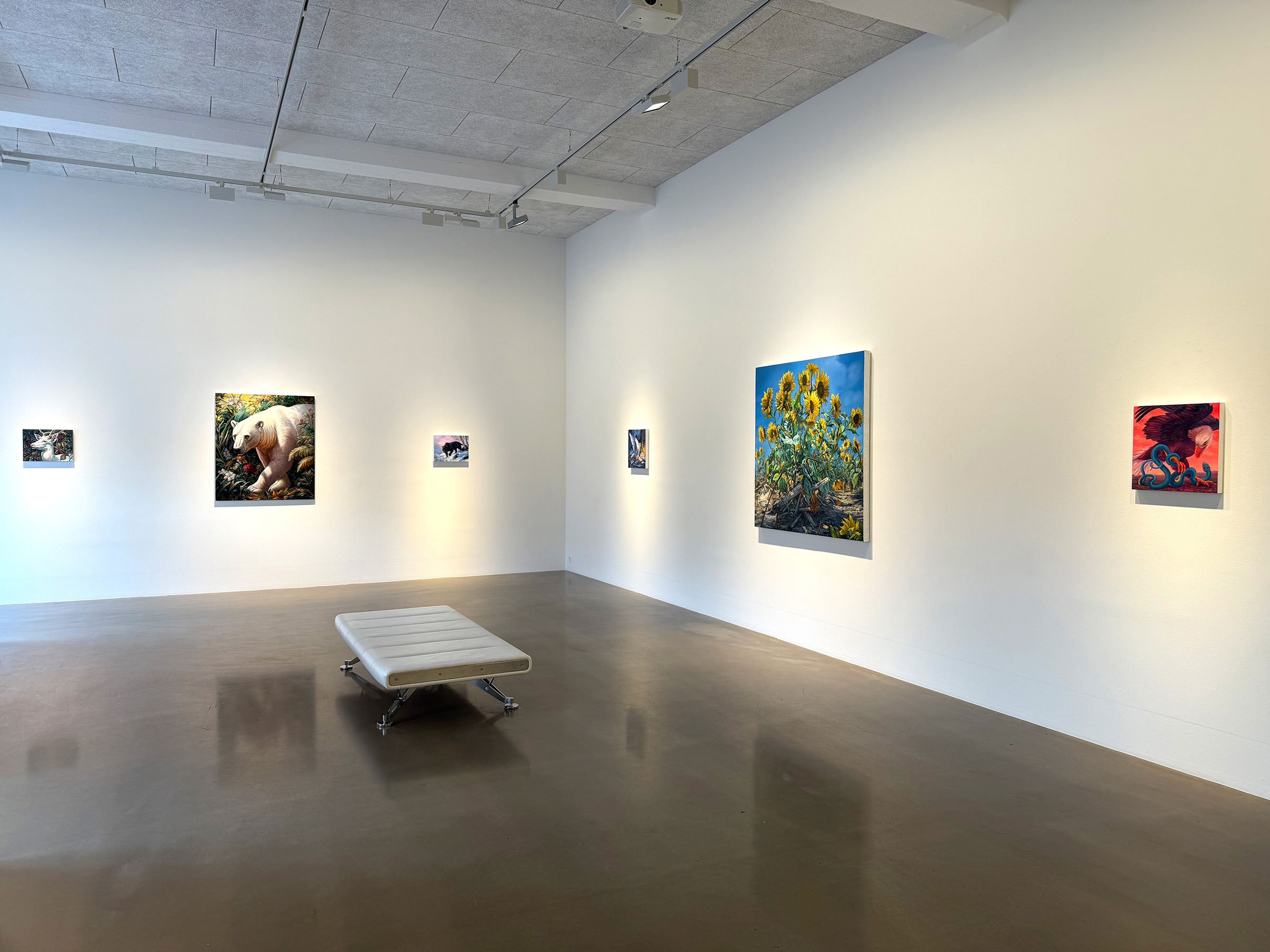 Installationsview fra udstillingen Absolute Elsewhere. Foto: Morten Poulsen.