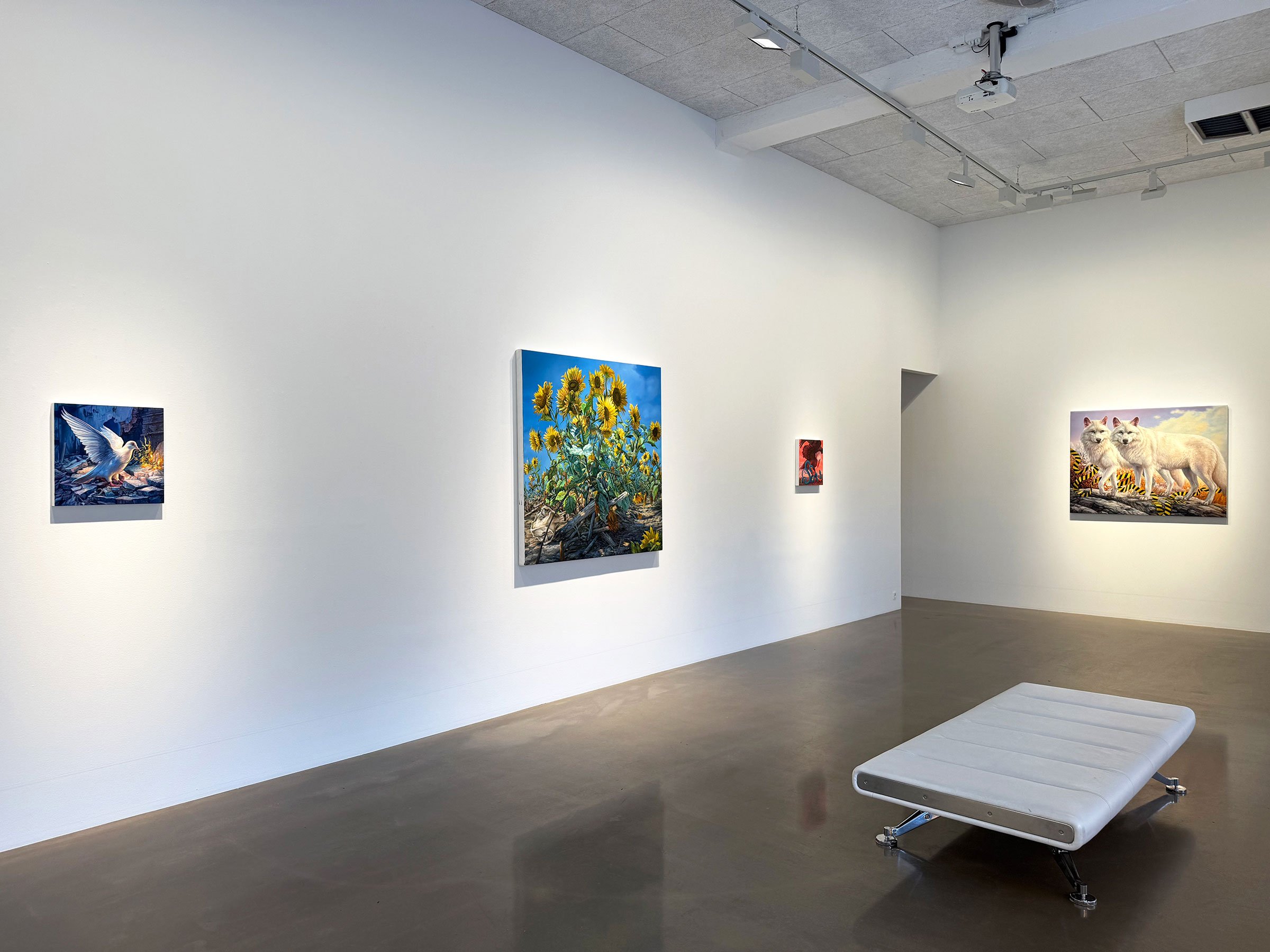 Installationsview fra udstillingen Absolute Elsewhere. Foto: Morten Poulsen.