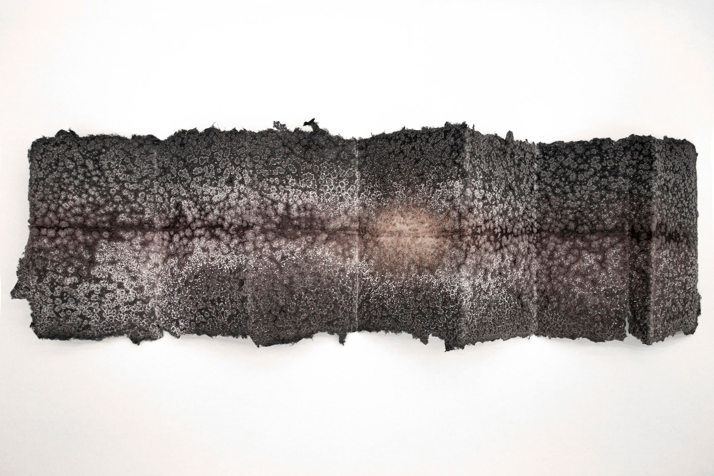 Barbara Mydlak: <i>Mourning diary</i>, 2026 – Foto: Barbara Mydlak.