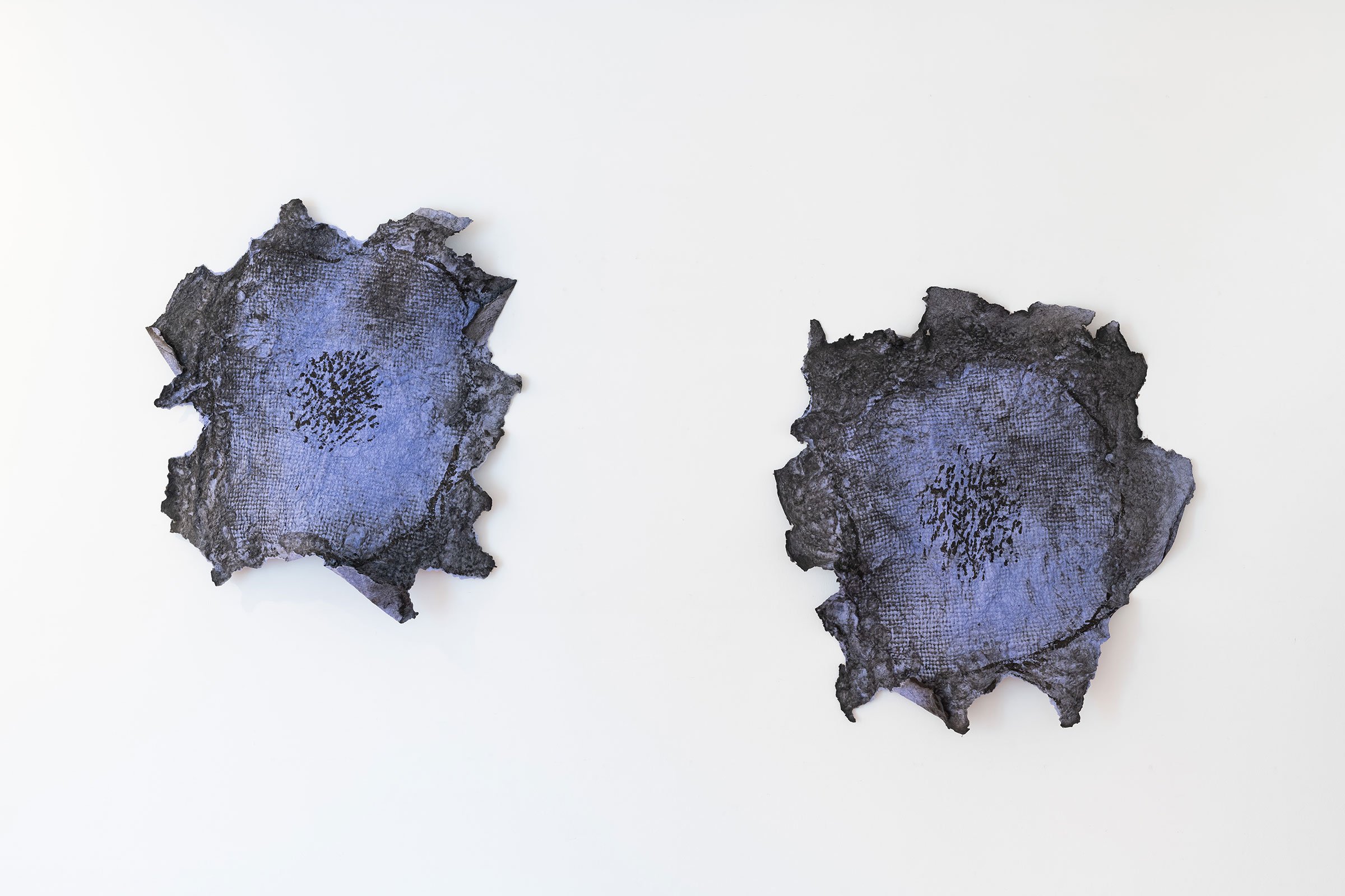 Heike Berl: <i>Sunflowers 1</i>, 2026 – Foto: Victoria Gentsch.