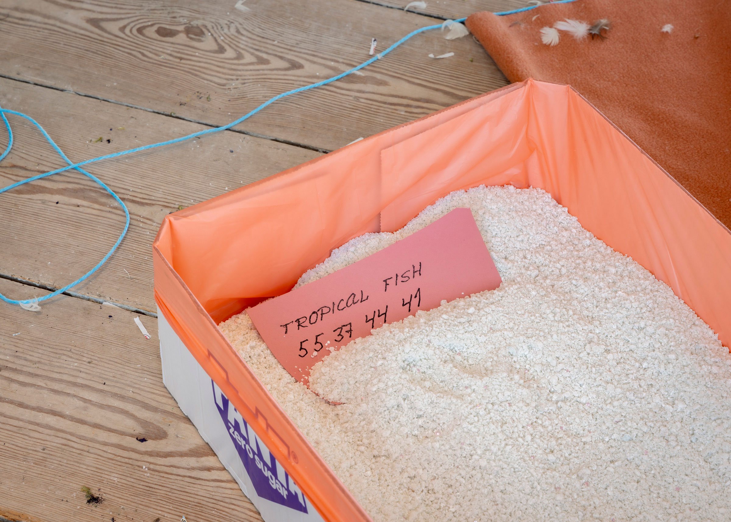 Installationsview fra udstillingen af Jason Dodge og Elena Narbutaitė. Foto: Malle Madsen.