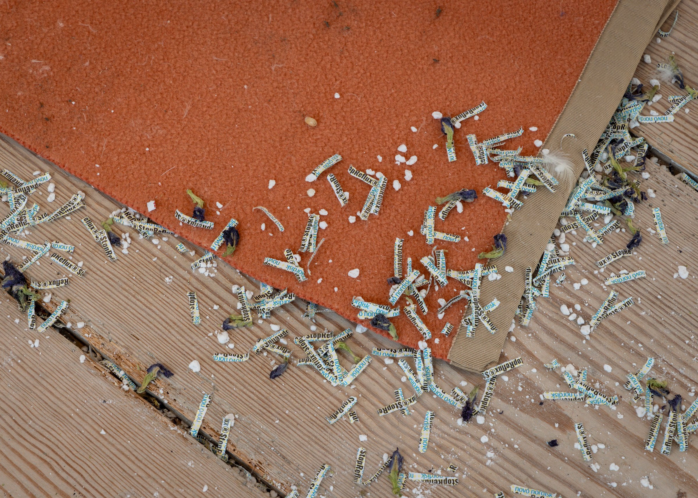 Installationsview fra udstillingen af Jason Dodge og Elena Narbutaitė. Foto: Malle Madsen.