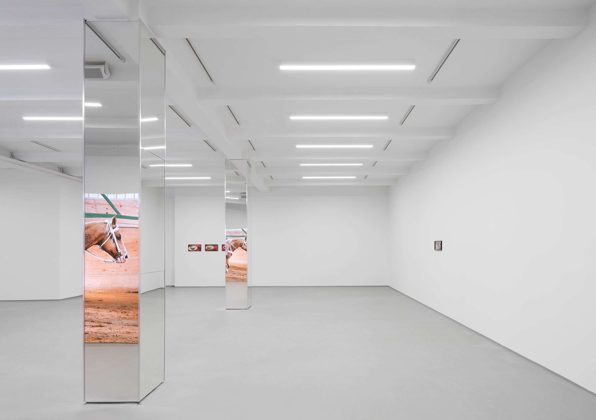View fra Freja Sofie Kirks <i>Pastimes</i>. Foto: David Stjernholm.